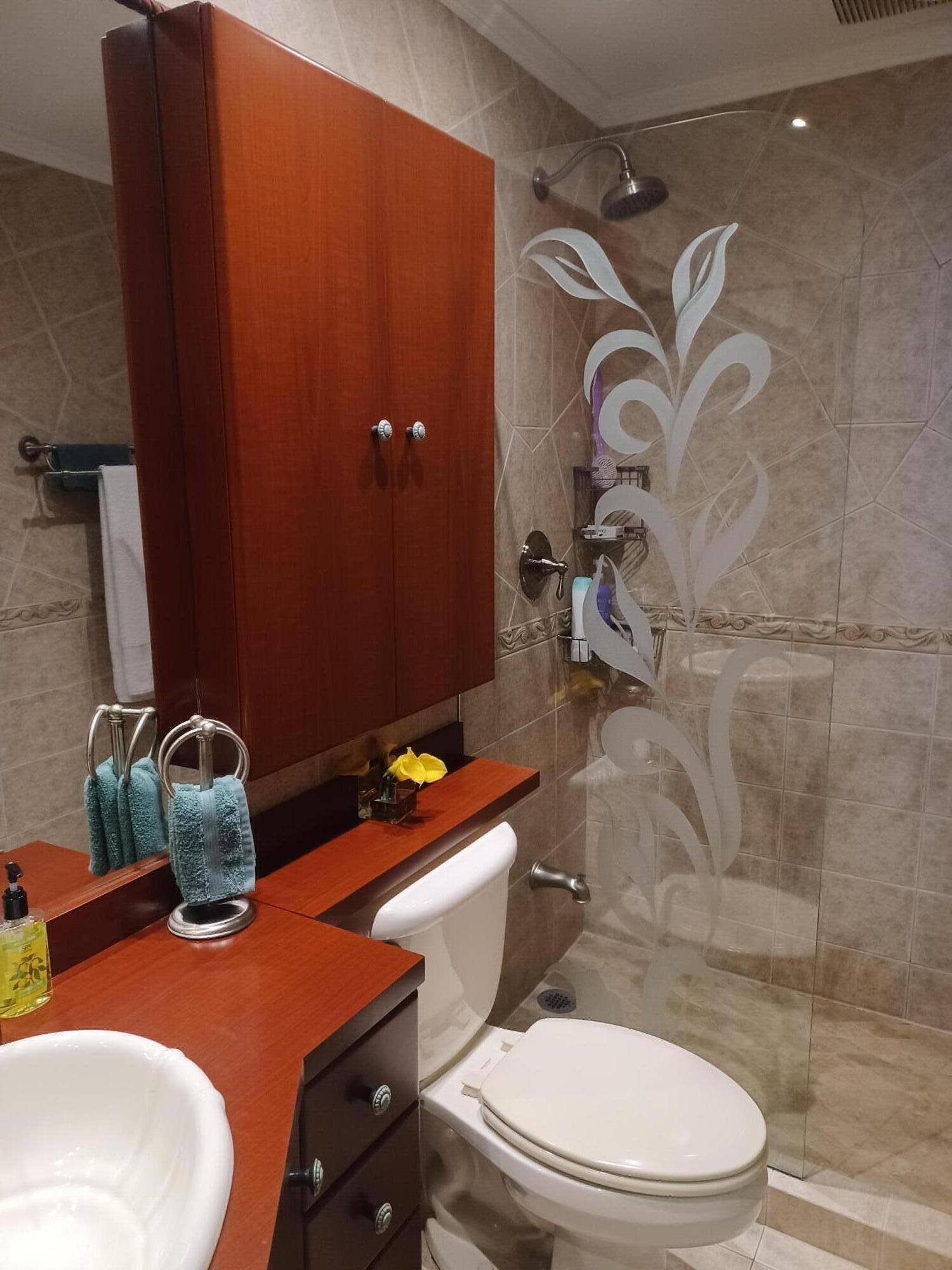 primary bathroom cabinet toilet