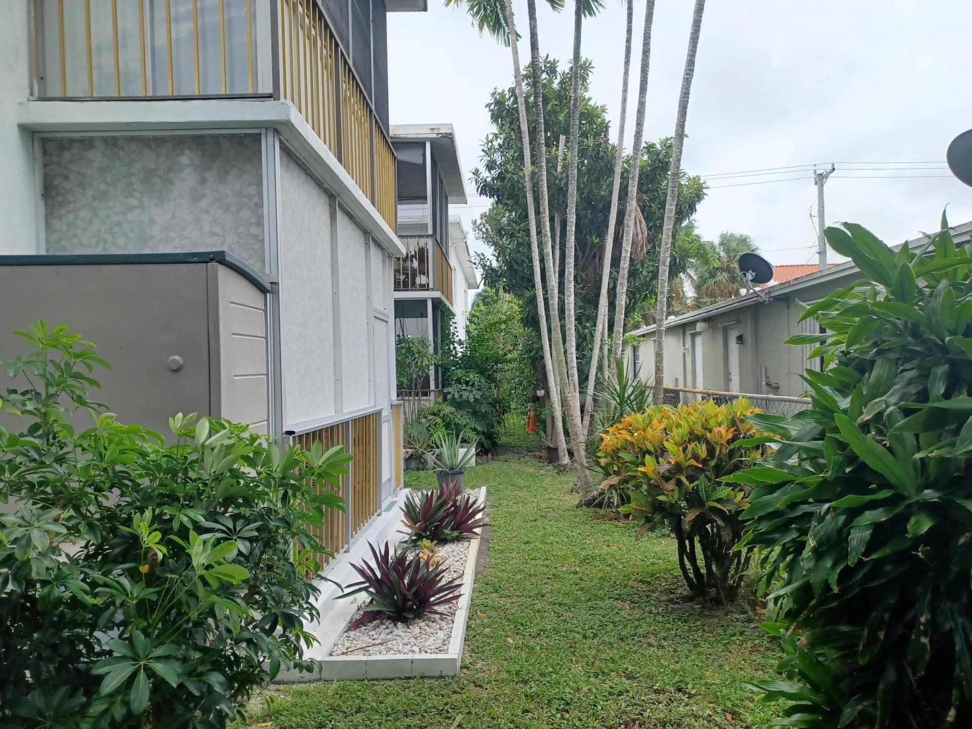 backyard view