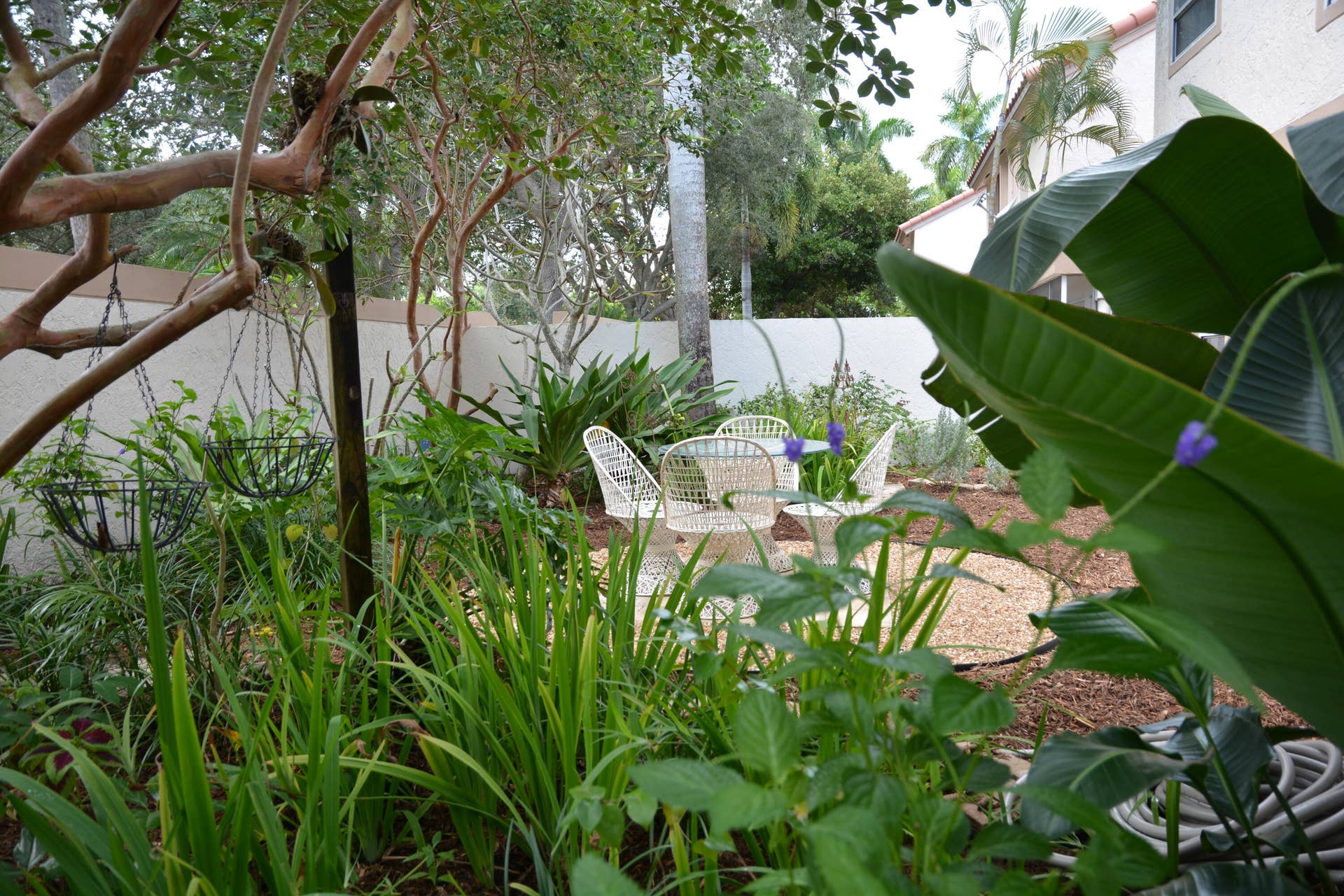 5222 Majorca Club Drive, Boca Raton, FL 33486 Backyard Foliage