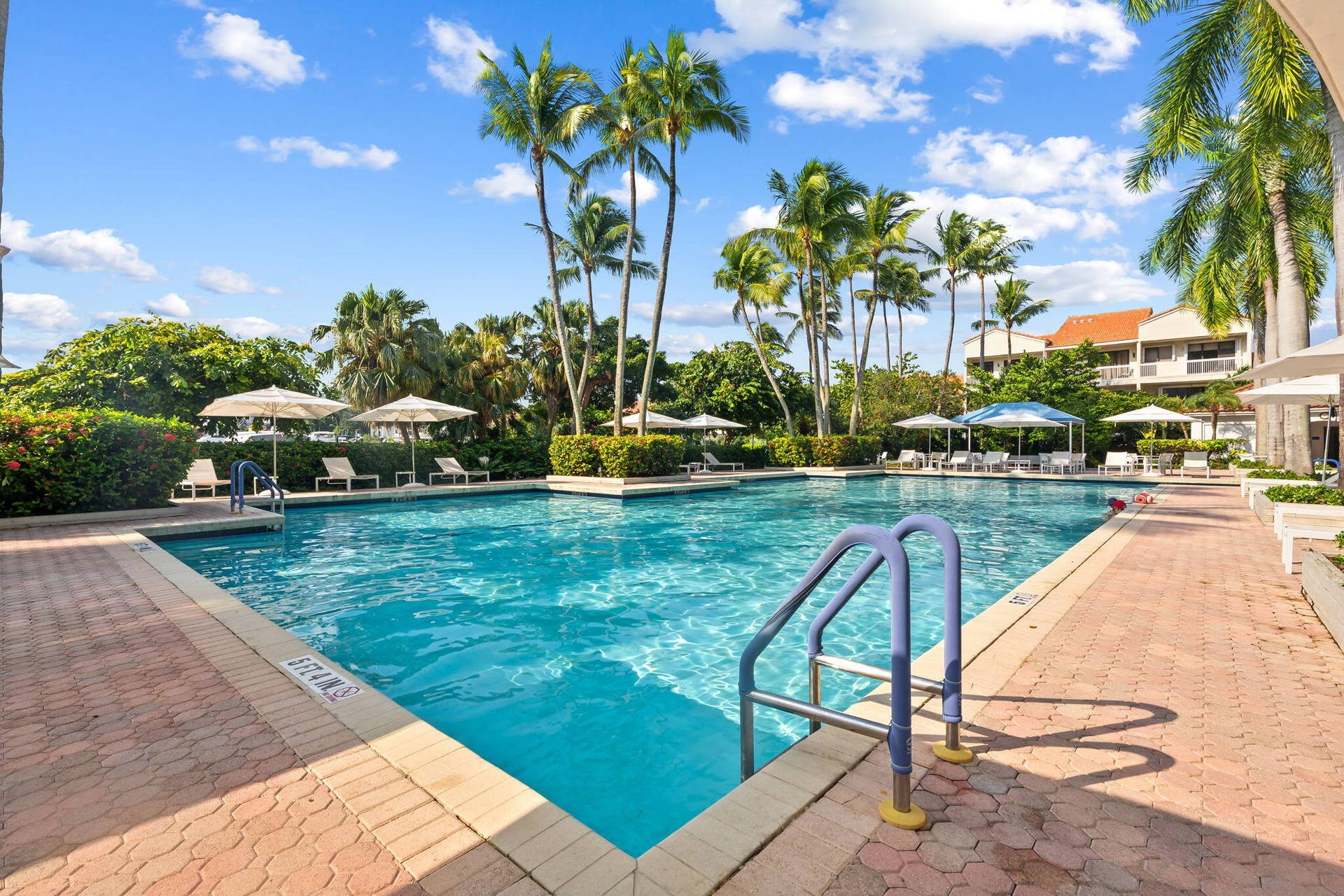Swimming pool featuring a paver stone deck, metal entry handrails, and surrounding mature palm trees