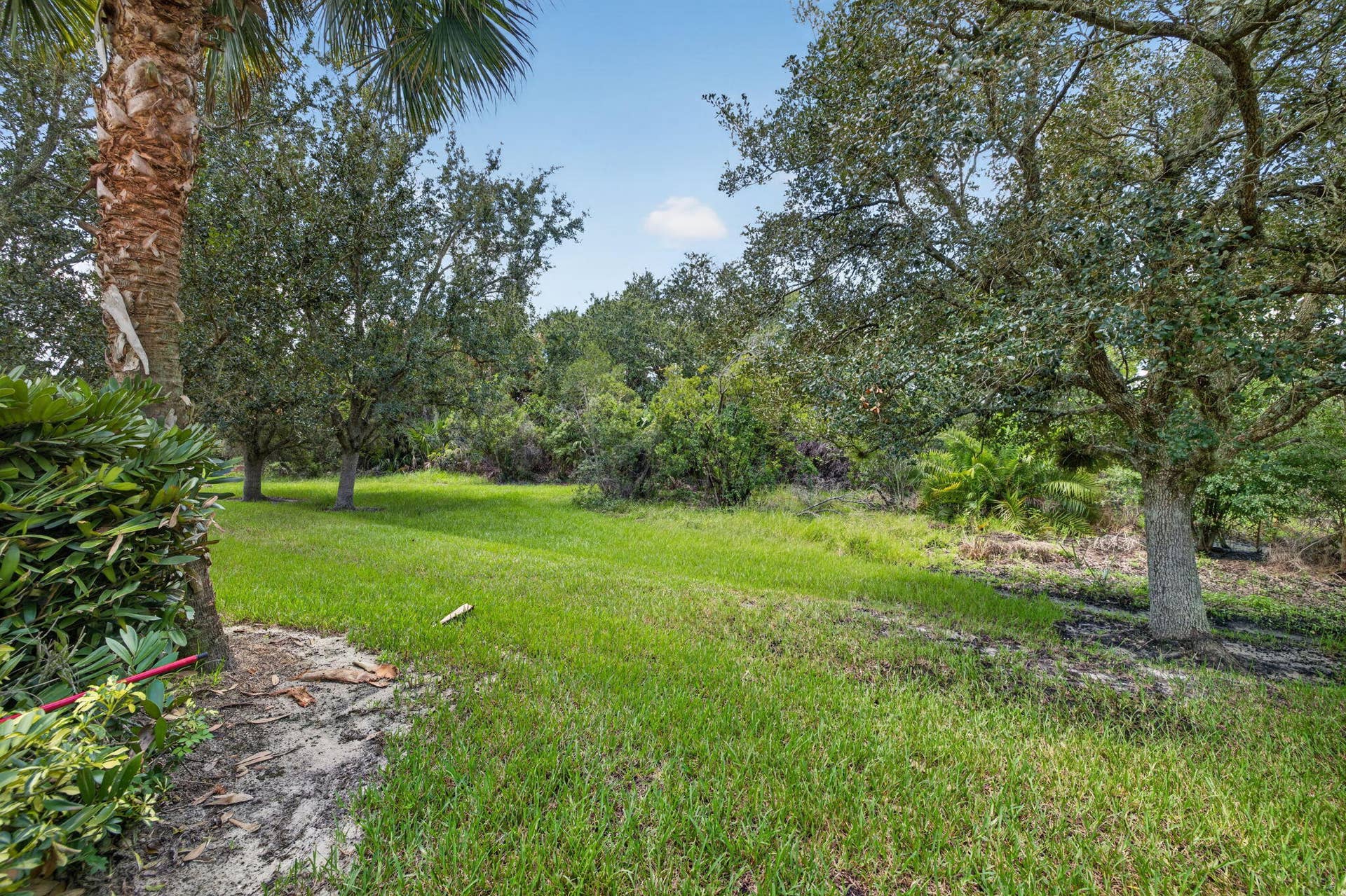50-web-or-mls-3A5A5173