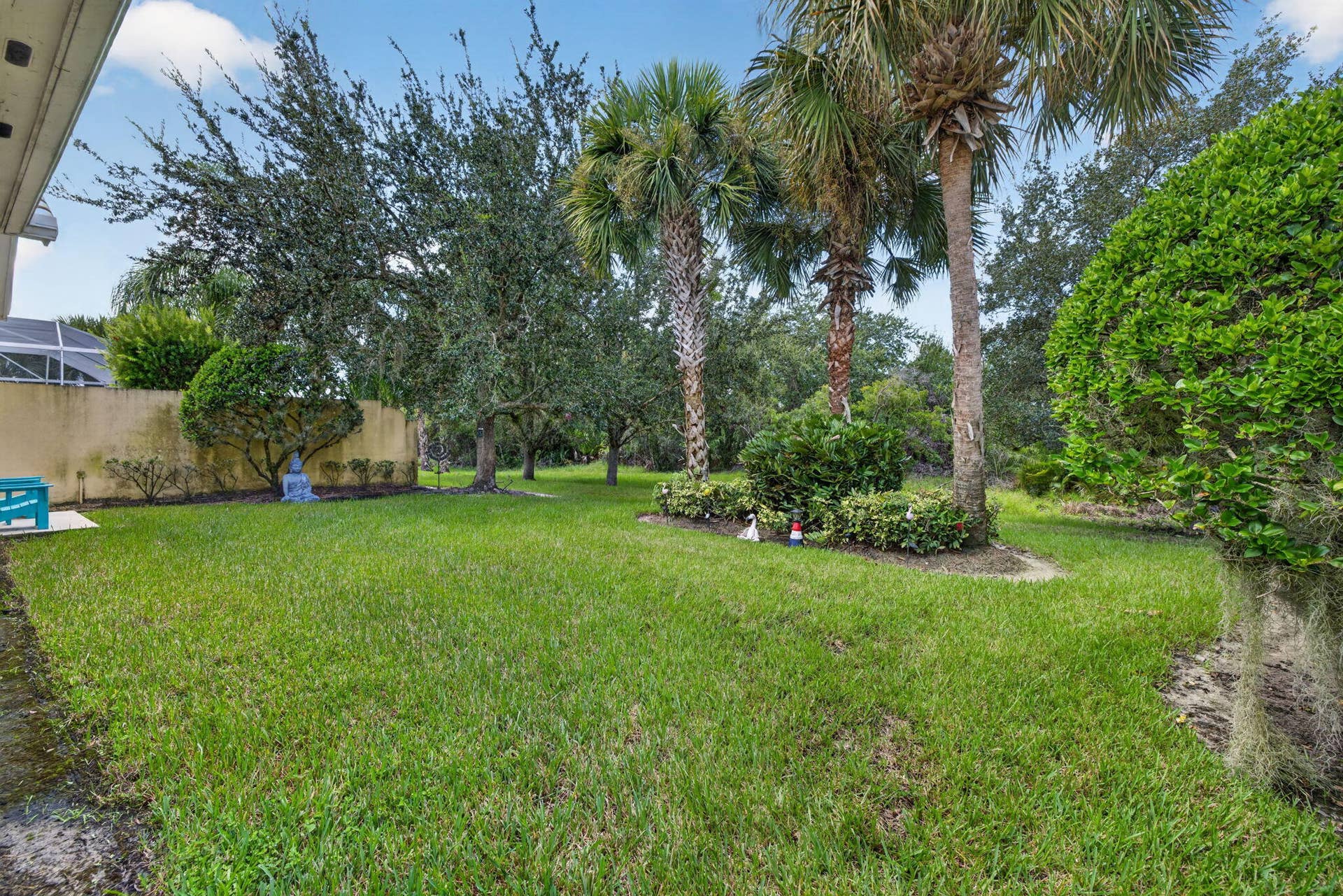 43-web-or-mls-3A5A5138