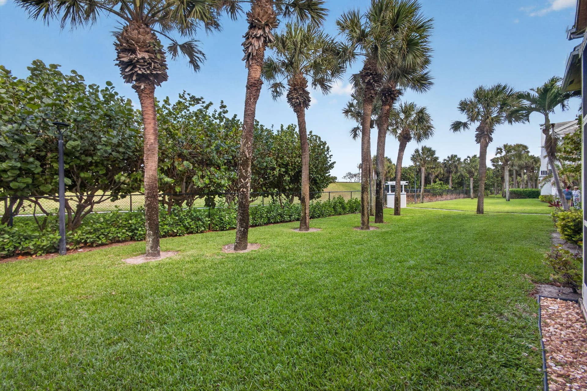 55-web-or-mls-5D1A1522