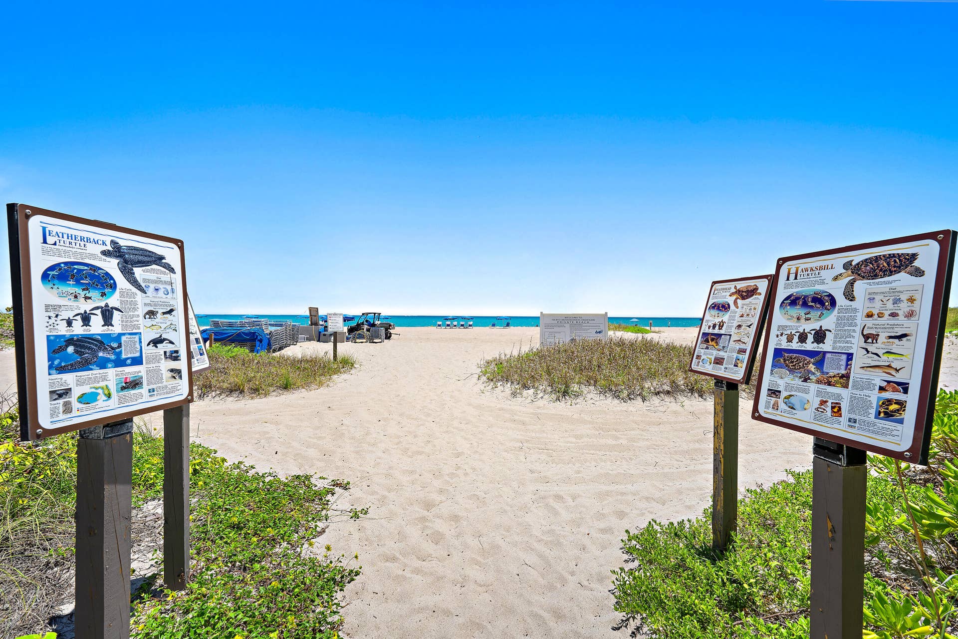 2700 N Ocean Drive, #801b, Singer Island, FL 33404 Ritz~ Beachfront