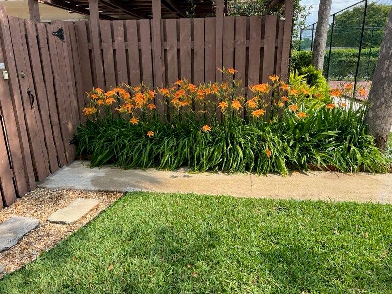 5551 NW 61ST Place, Tamarac, FL 33319 ME73f197a6028699e5bf1c419ae6c28f11