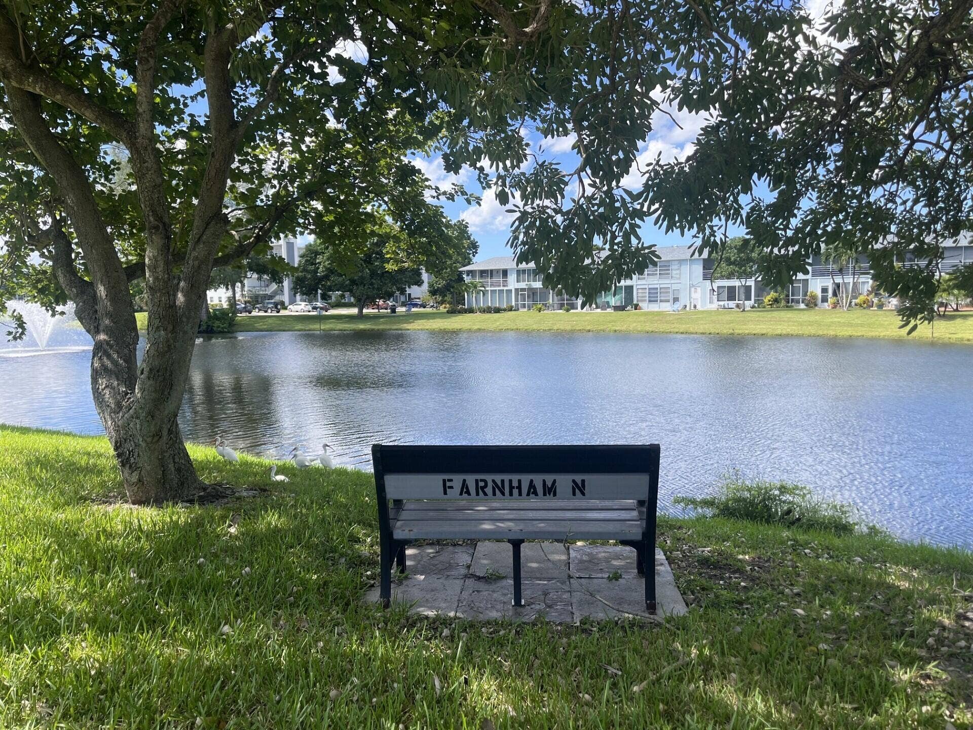 4006 FARNHAM N, #4006, Deerfield Beach, FL 33442 1654e434-20c9-414f-979c-79d0d2374174
