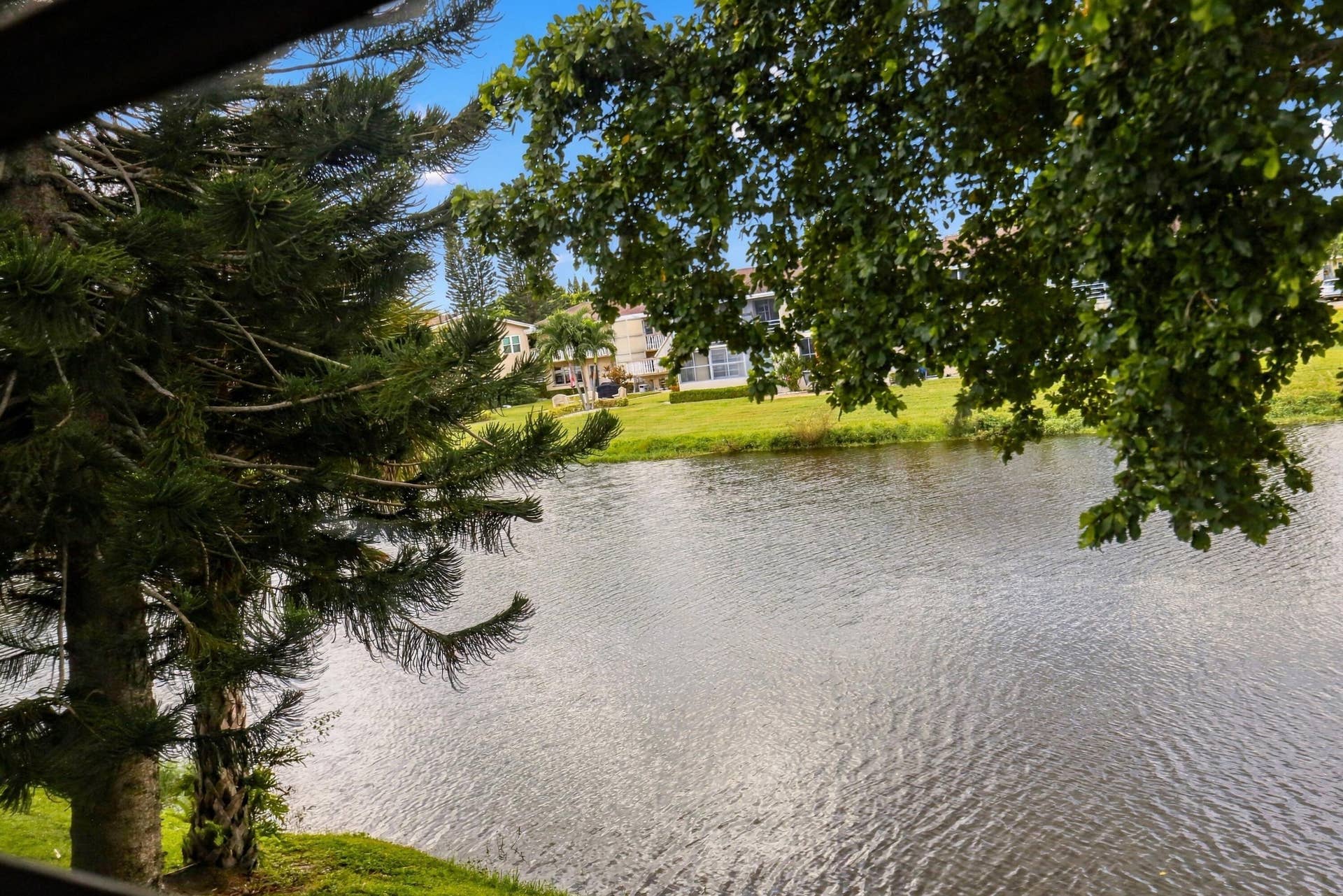 Canal Views