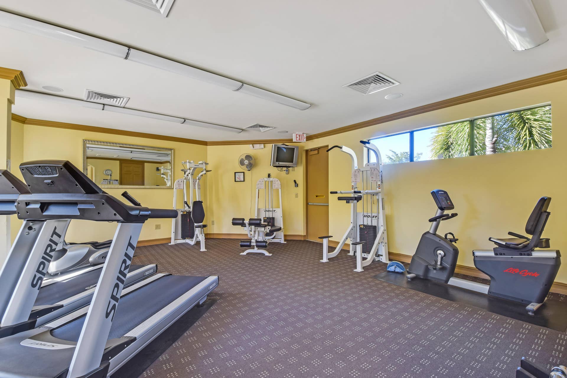 Fitness