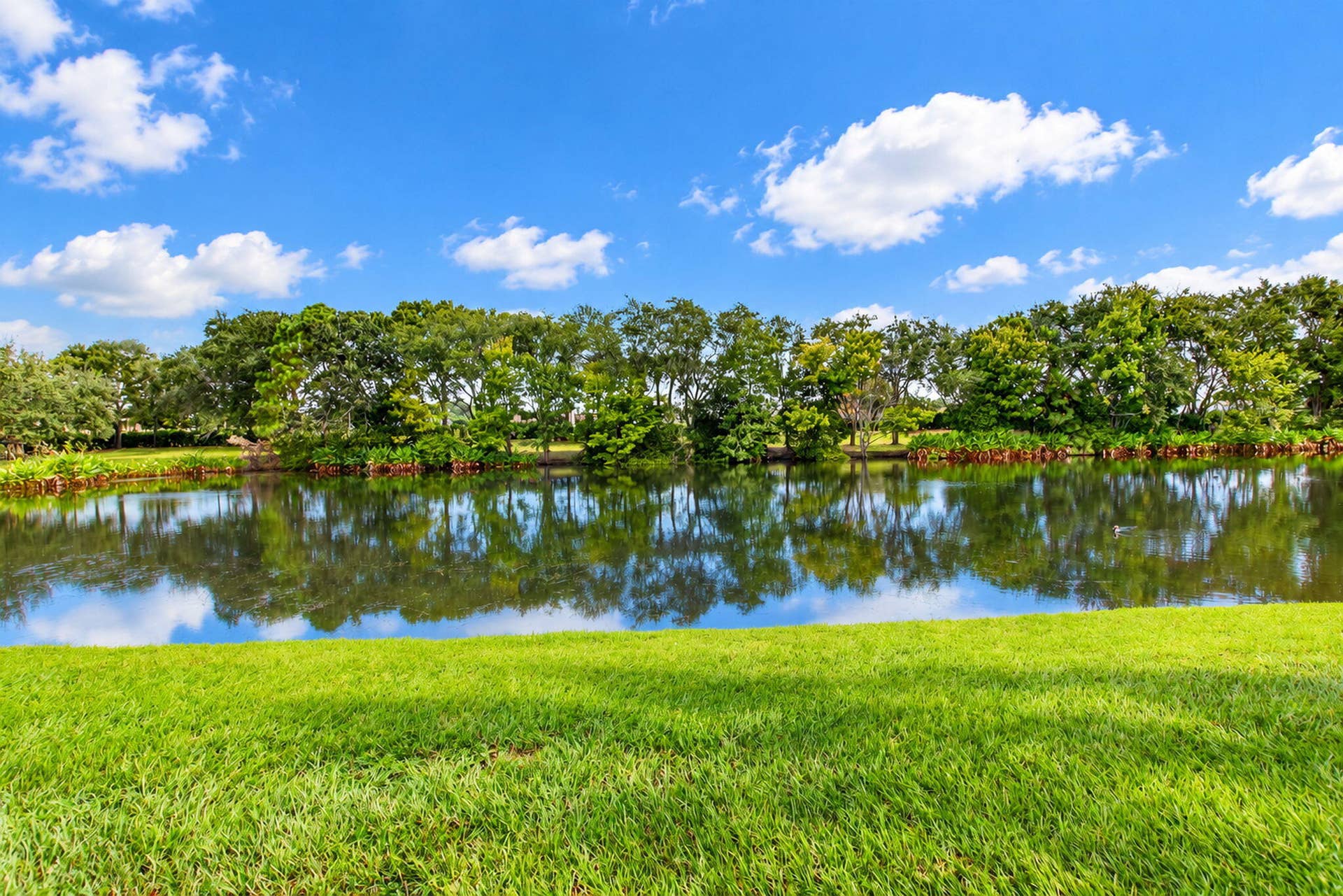 27-web-or-mls-DSC_0498