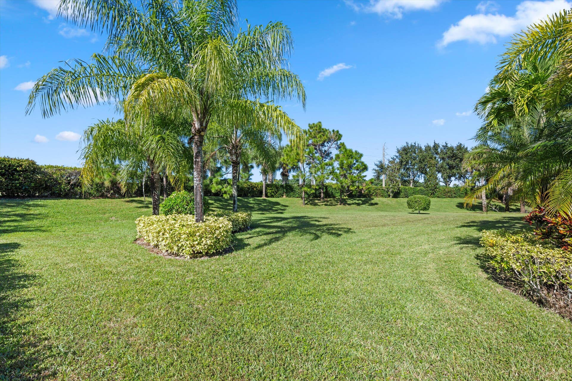 Expansive lawn featuring mature palm trees and manicured shrubbery