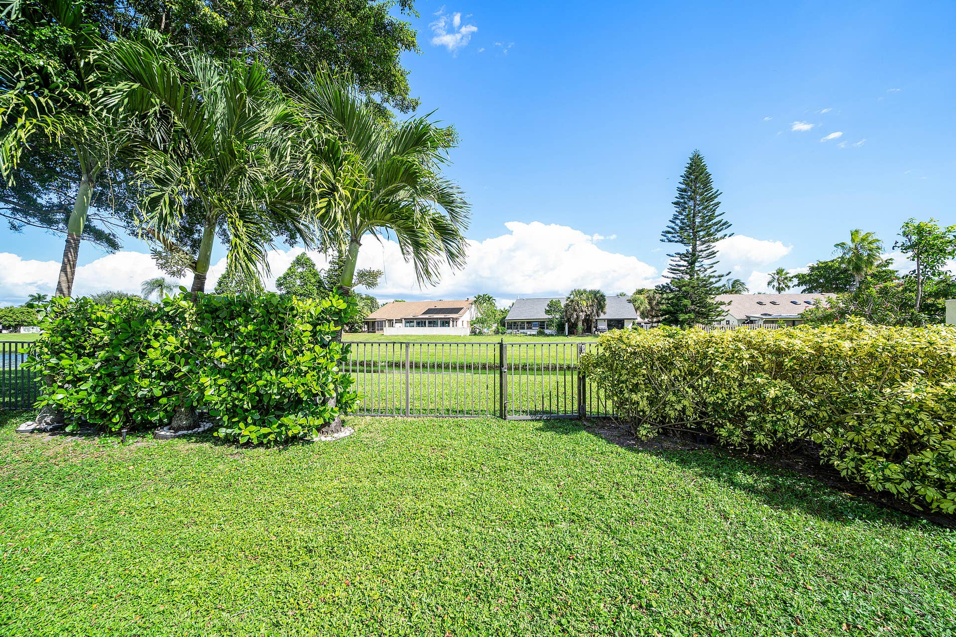 503 SW 29TH Avenue, Delray Beach, FL 33445 Expansive grass lawn featuring mature palm trees, perimeter shrubbery, and a metal gate fence
