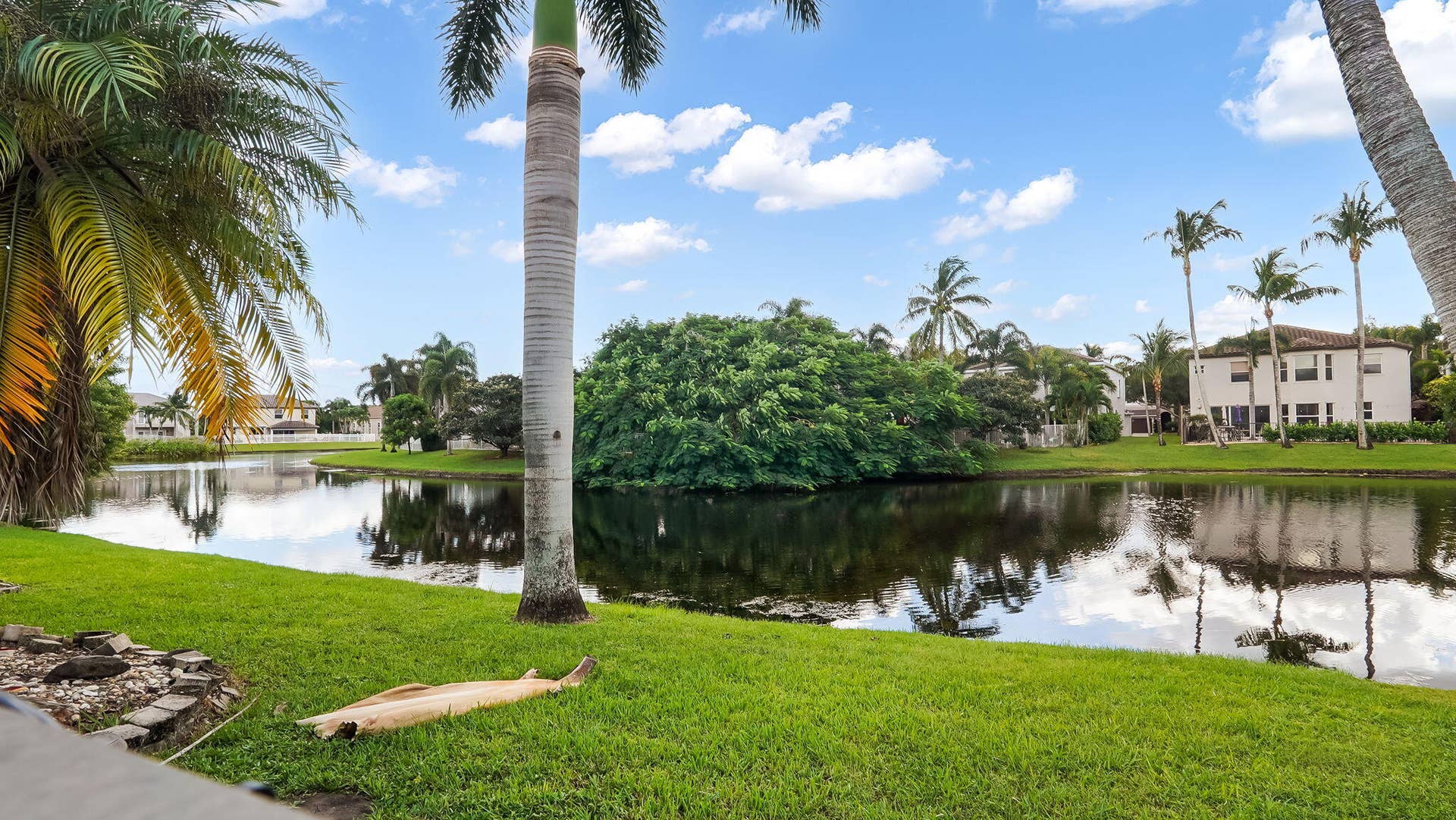 31-web-or-mls-DSC02833