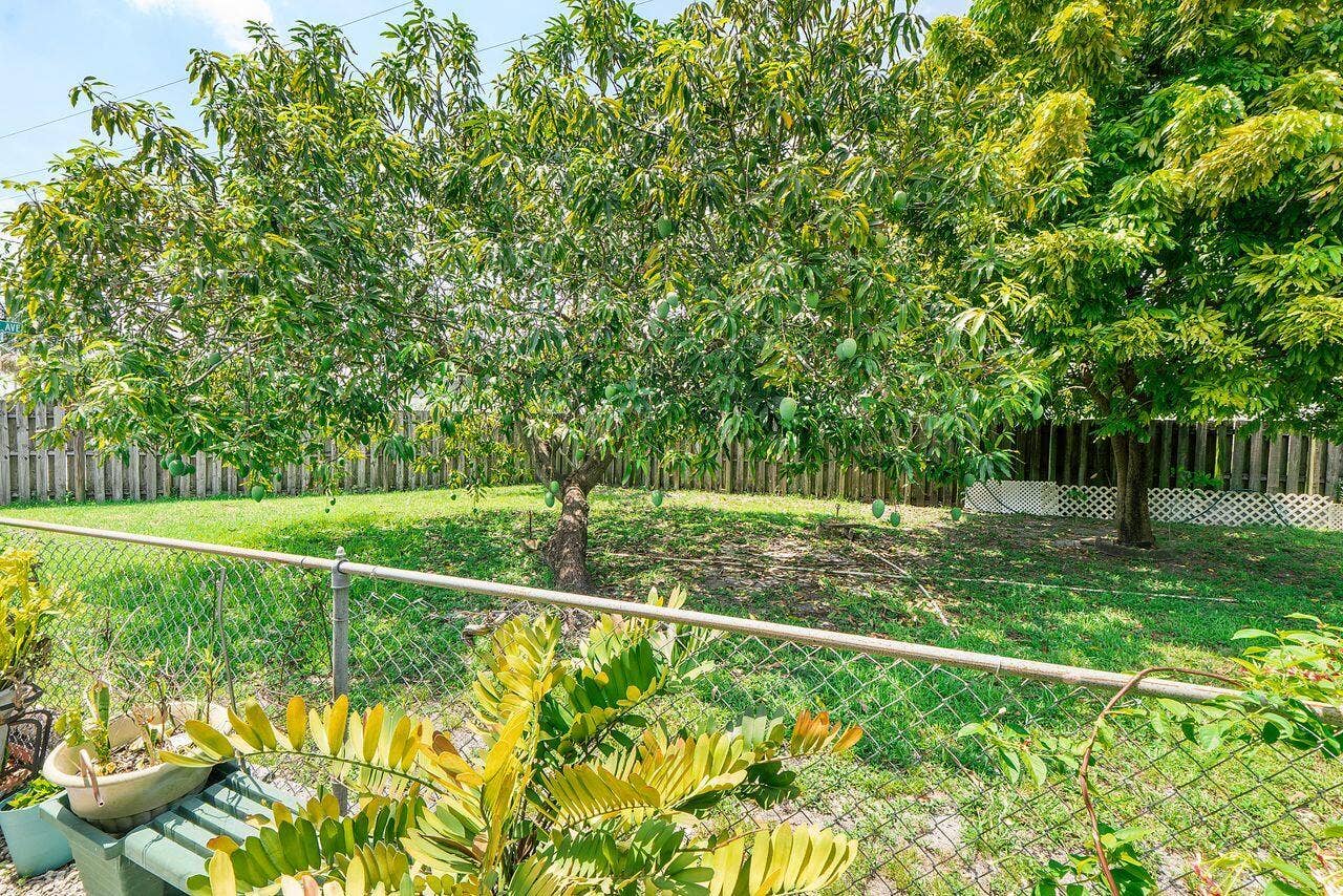 1302 SW 22ND Avenue, Fort Lauderdale, FL 33312 Side yard