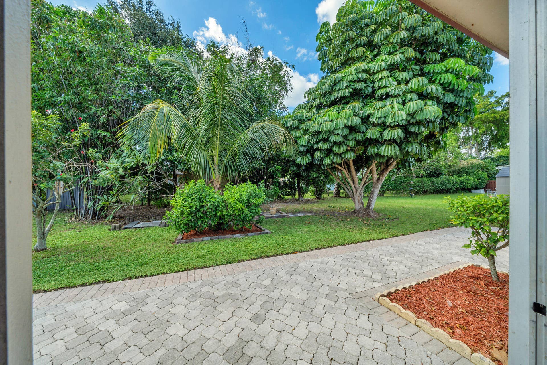 10 Backyard (1)
