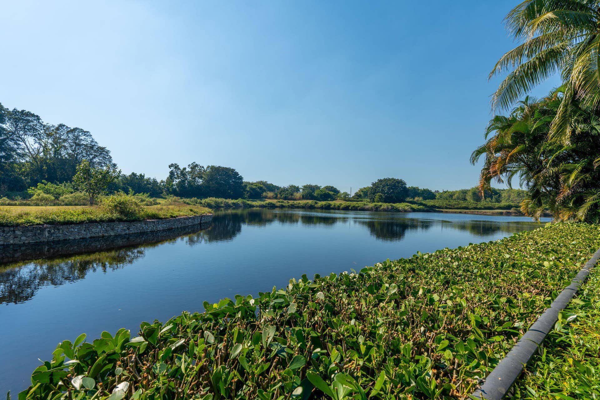 2971 Bent Cypress Road, Wellington, FL 33414 85-web-or-mls-A7400862