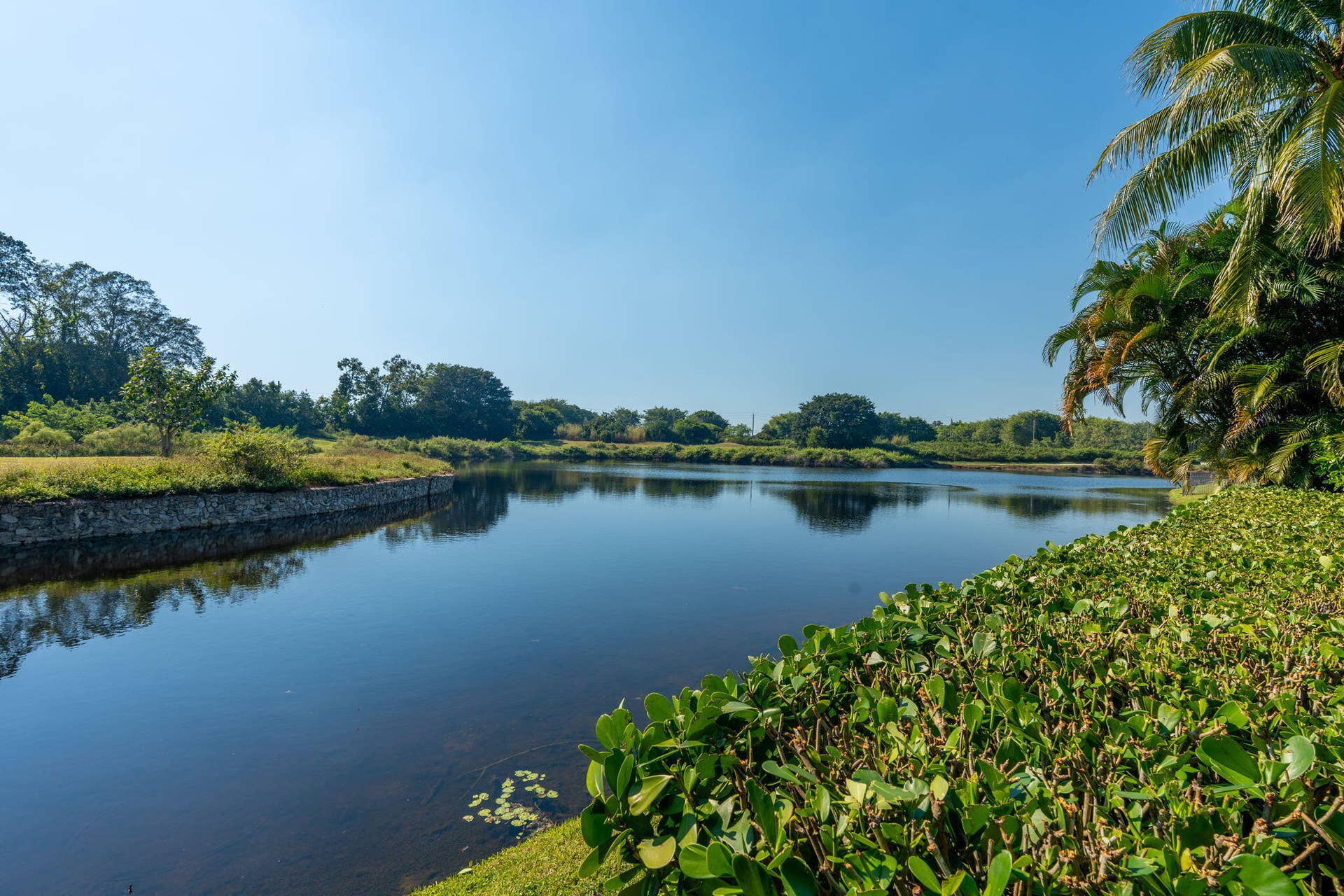 2971 Bent Cypress Road, Wellington, FL 33414 86-web-or-mls-A7400864