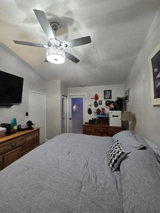 Master Bedroom (3)