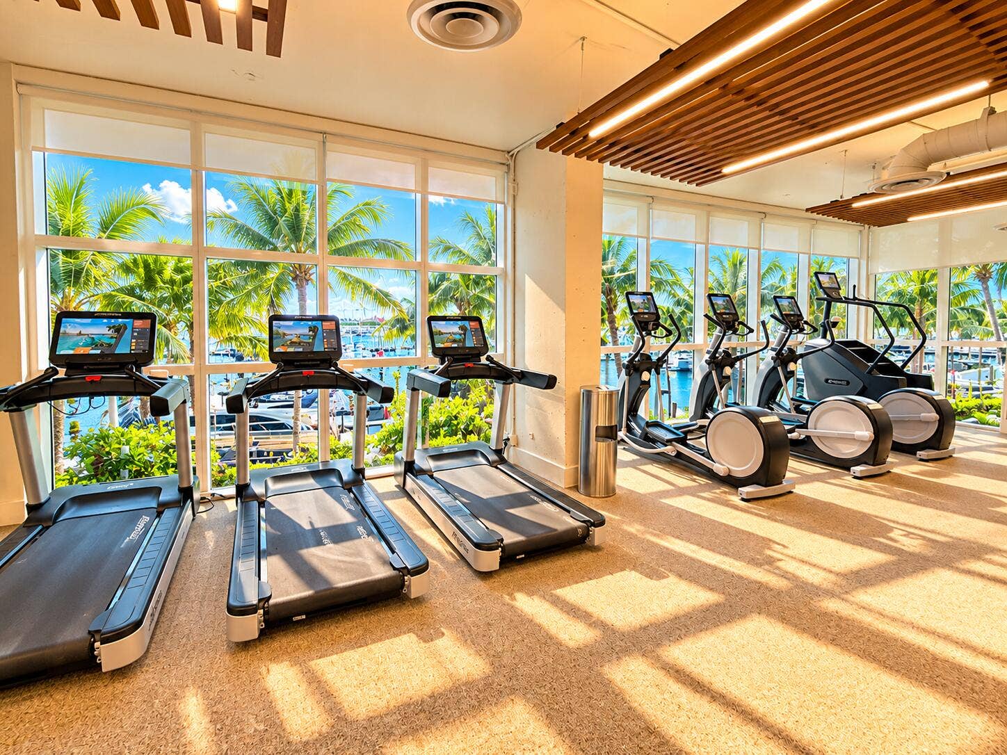 Gym in Sunlight