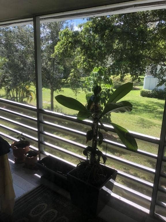 Virtual Patio Views