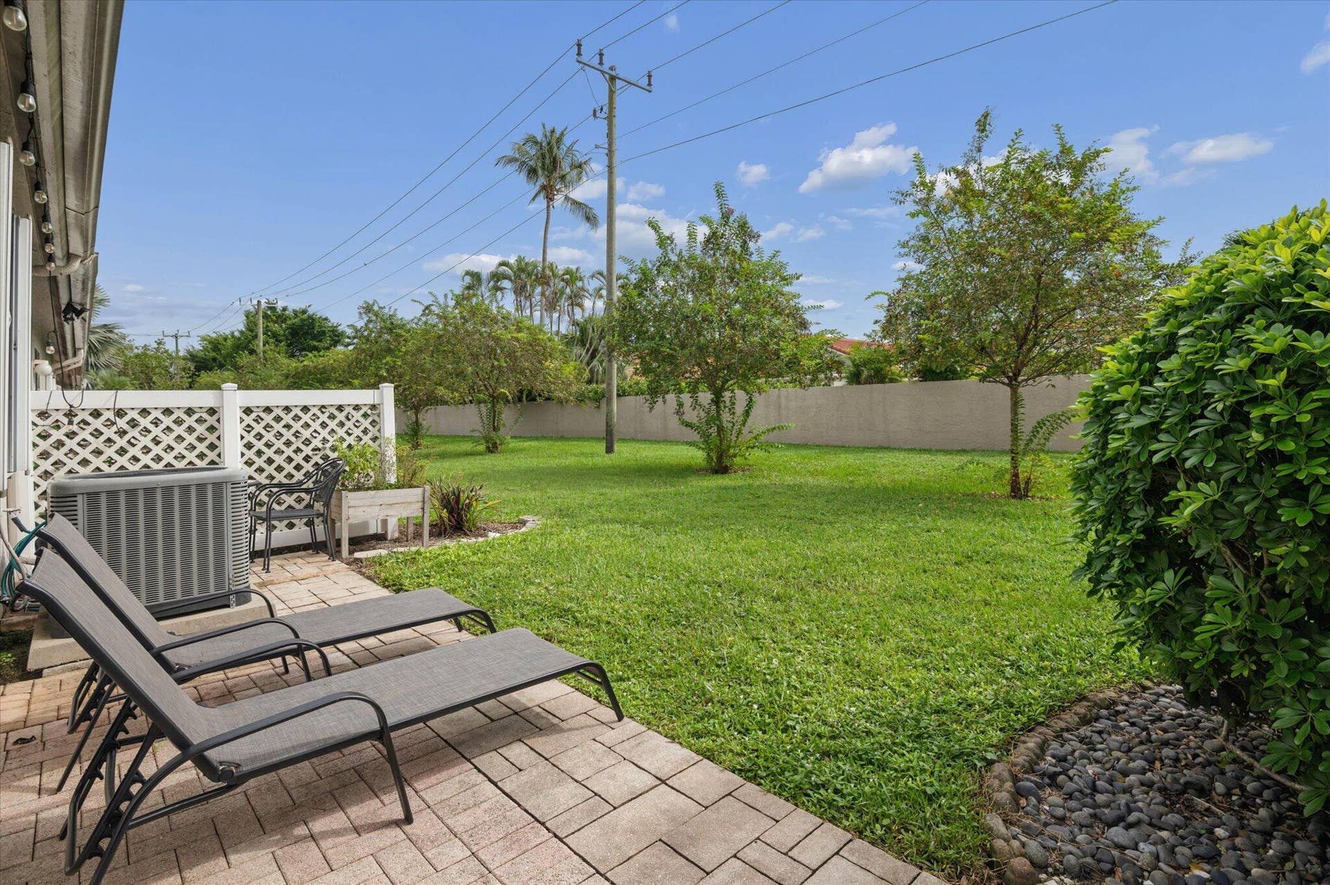 Back yard