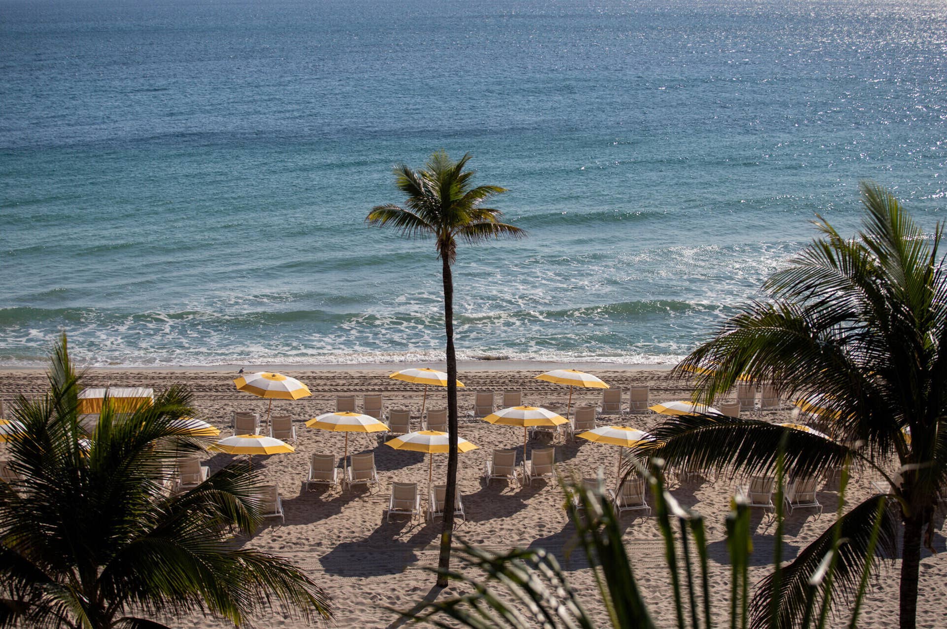 Four Seasons Fort Lauderdale Private Beach