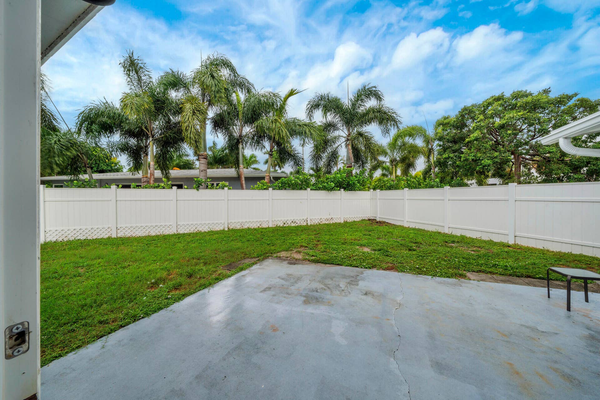 6 backyard (01)
