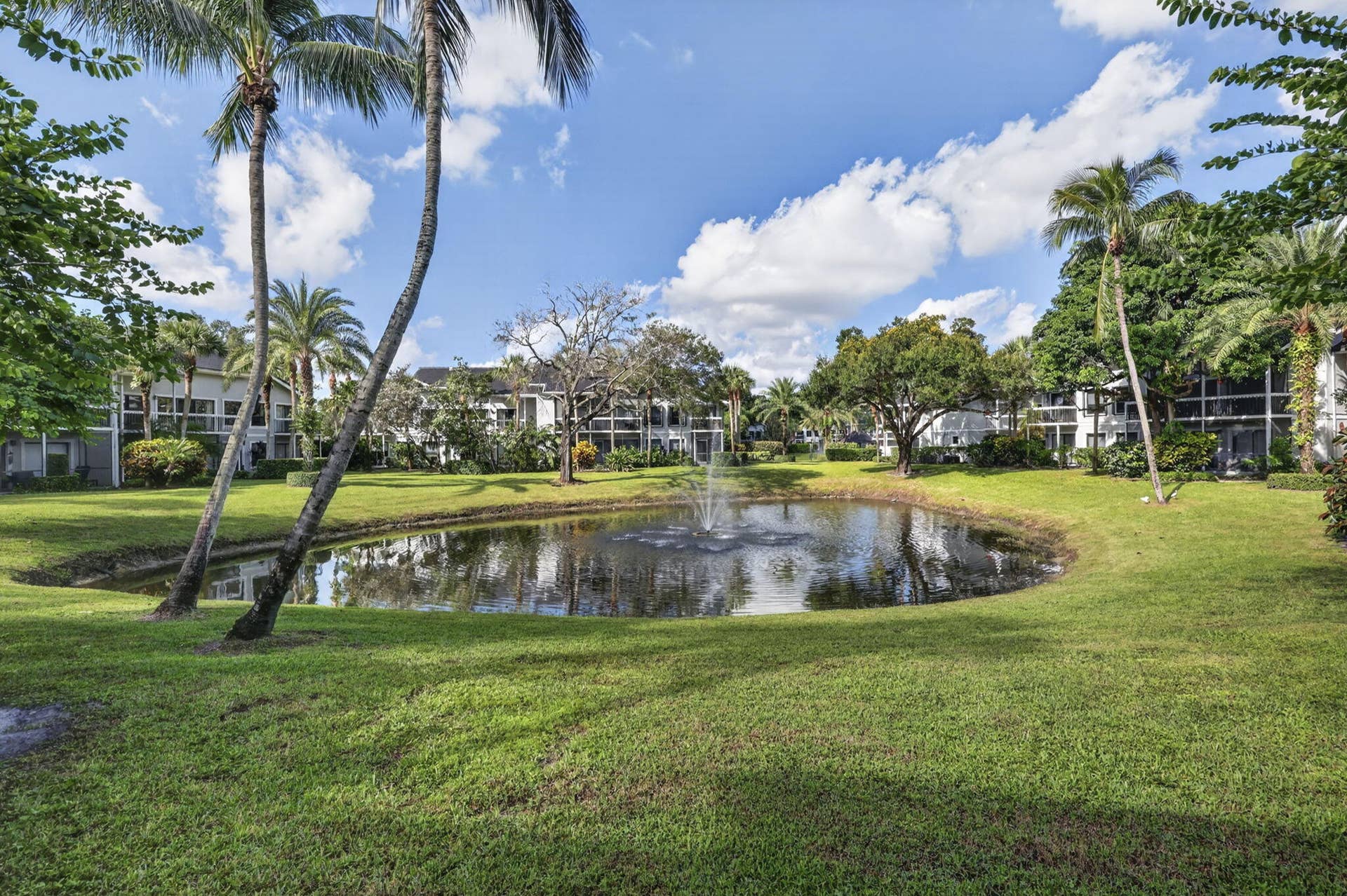 38-web-or-mls-BS1A5399