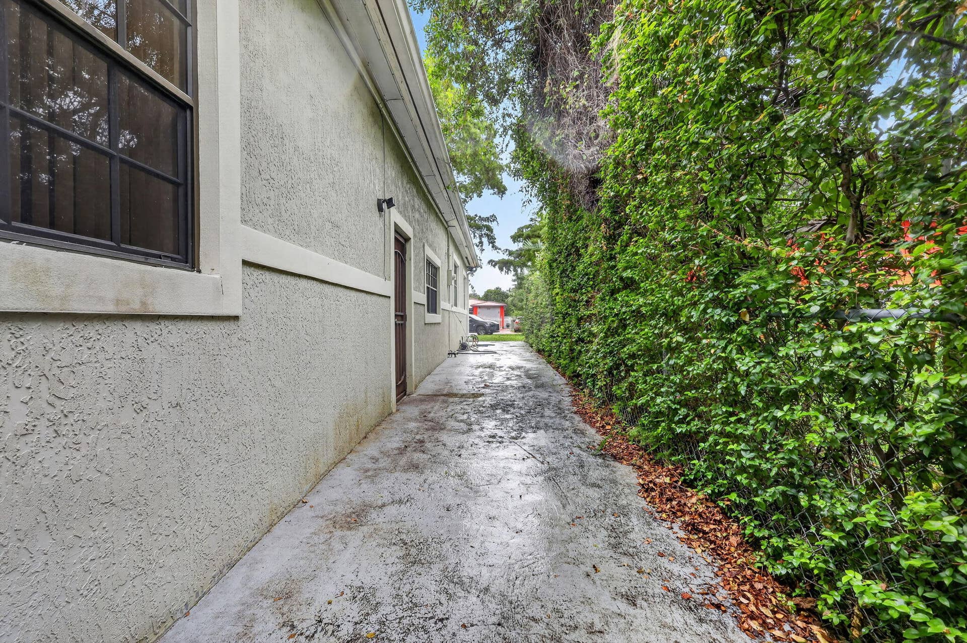 38-web-or-mls-8H3A1784