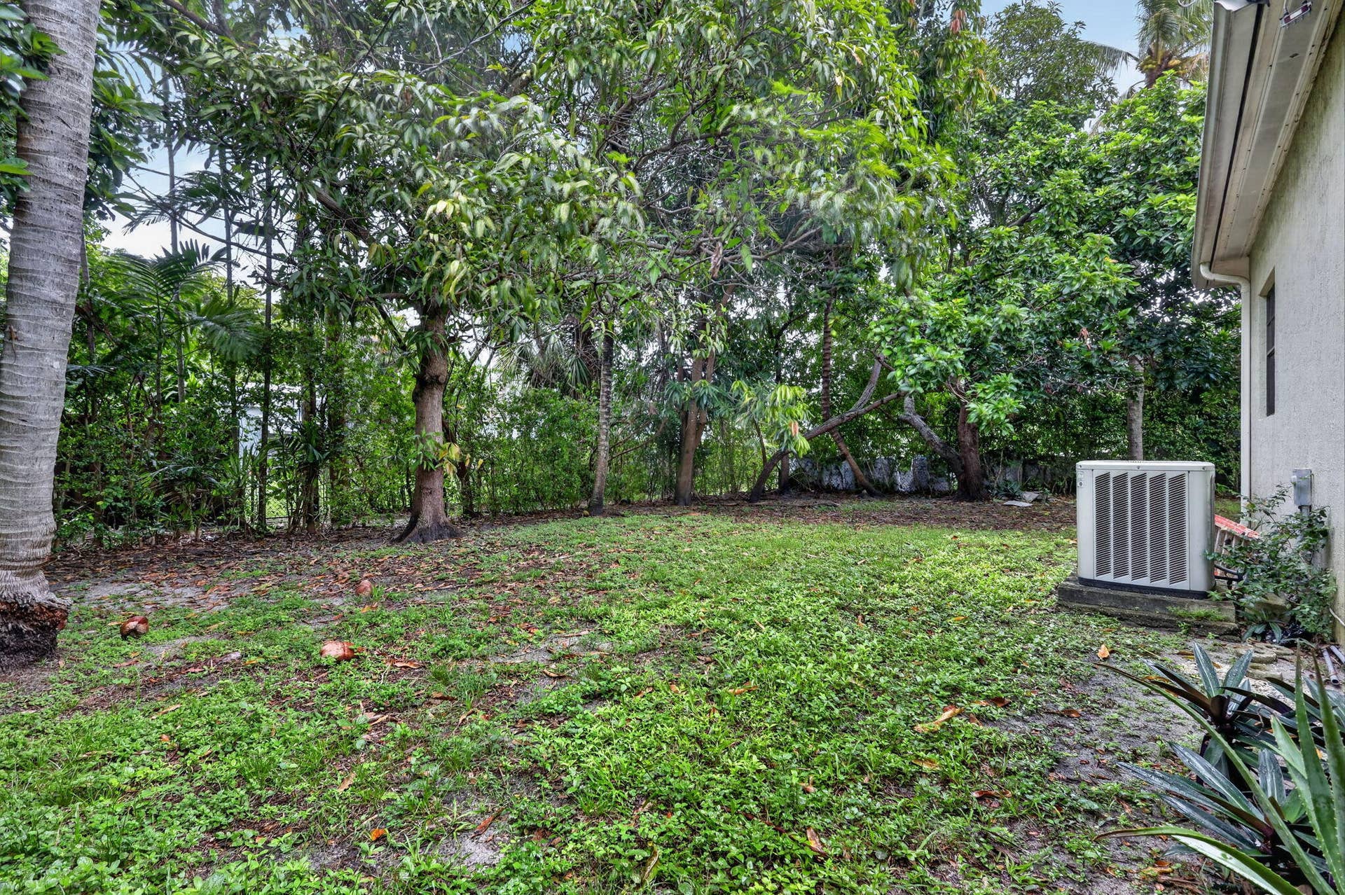 34-web-or-mls-8H3A1763
