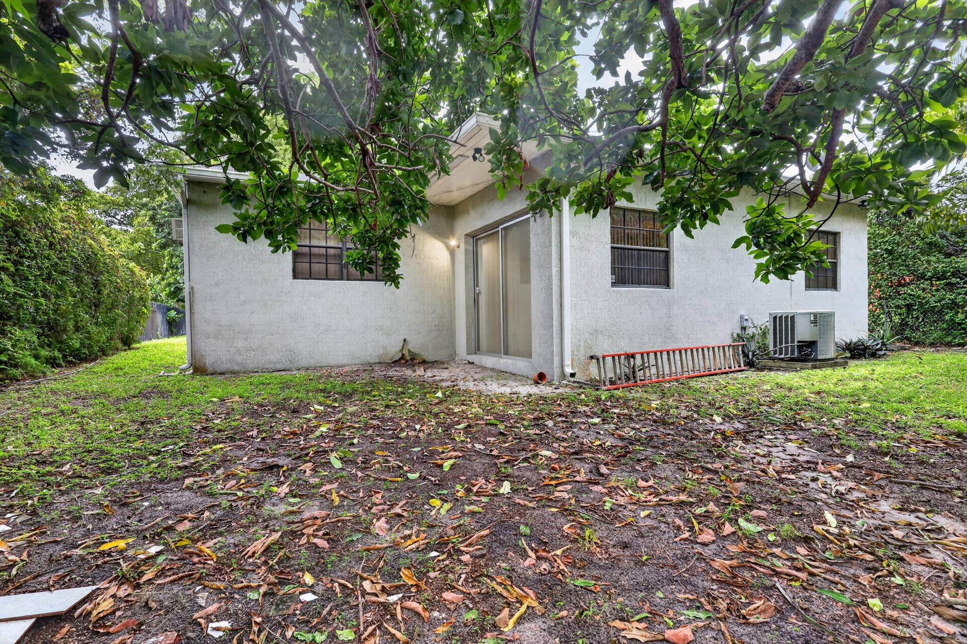 36-web-or-mls-8H3A1773