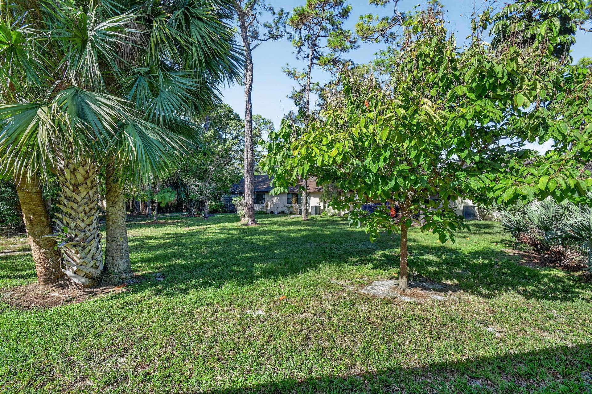 Outdoor View