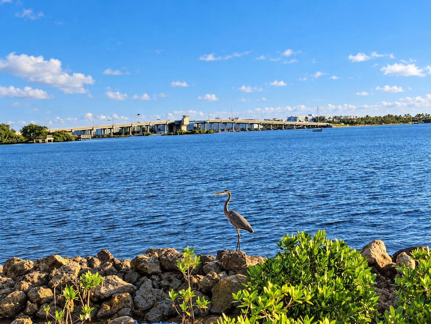 Lake Worth Bridge view from Bryant Park