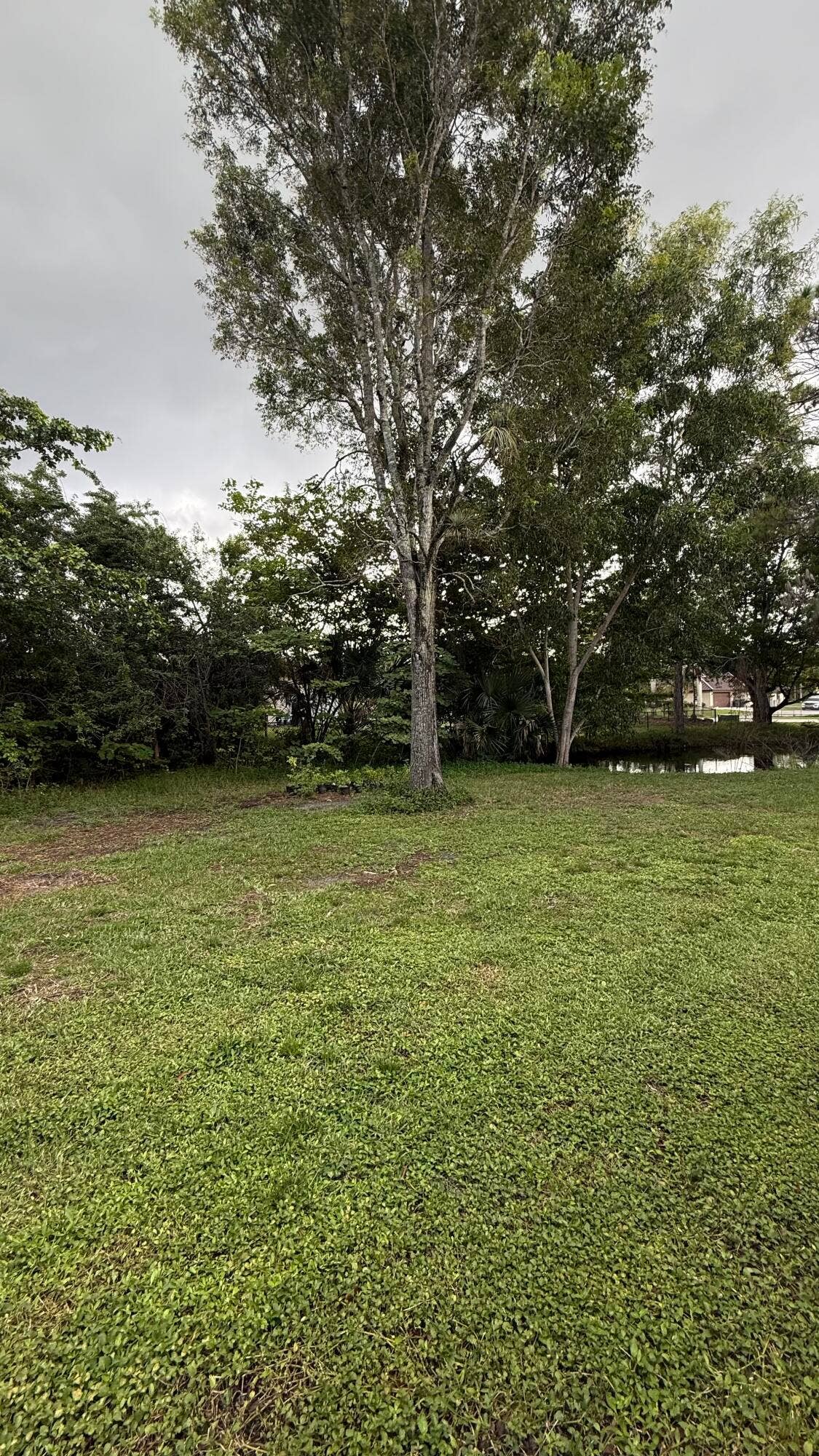 12191 Persimmon Boulevard, West Palm Beach, West Palm Beach, FL 33411 D35074CC-636E-40DE-8CE0-0A8BE33325EA