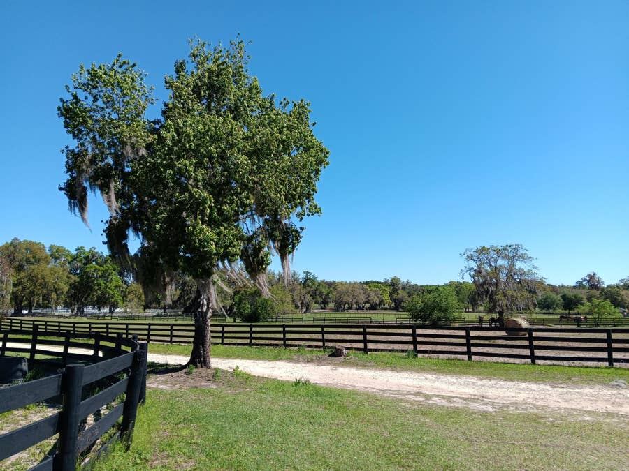 Property photo for 2630 NW 140th Street, Citra, FL