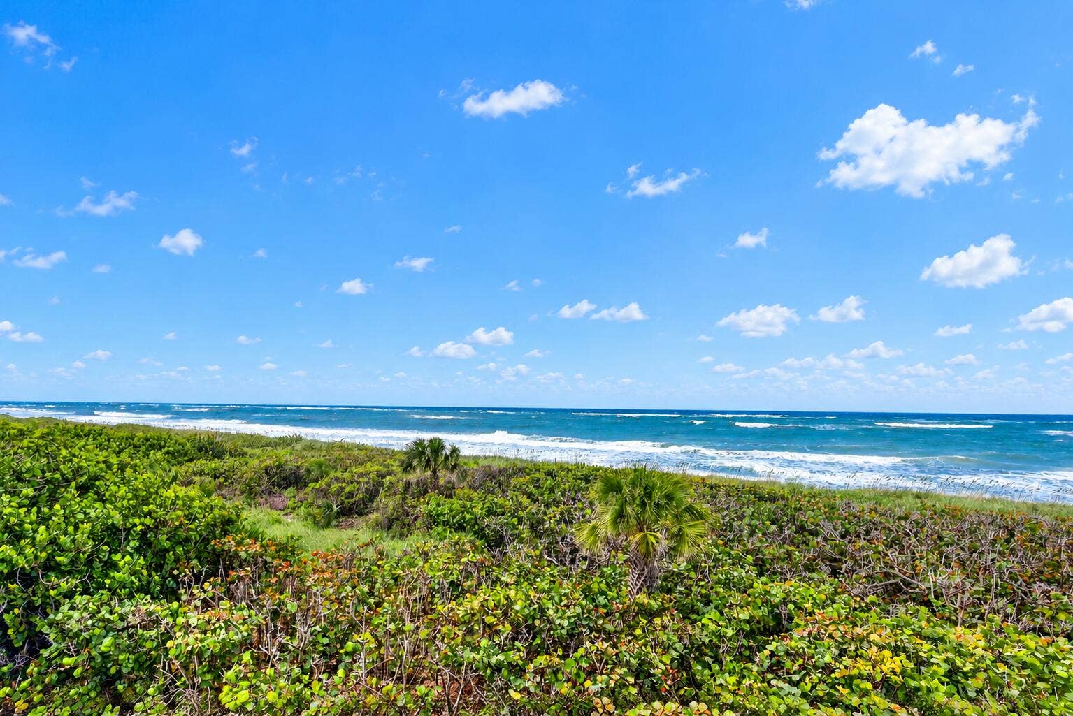 4000 N HIGHWAY A1A, #301, Fort Pierce, FL 34949 29-print-Sunny Coastal Dunes and Ocean W