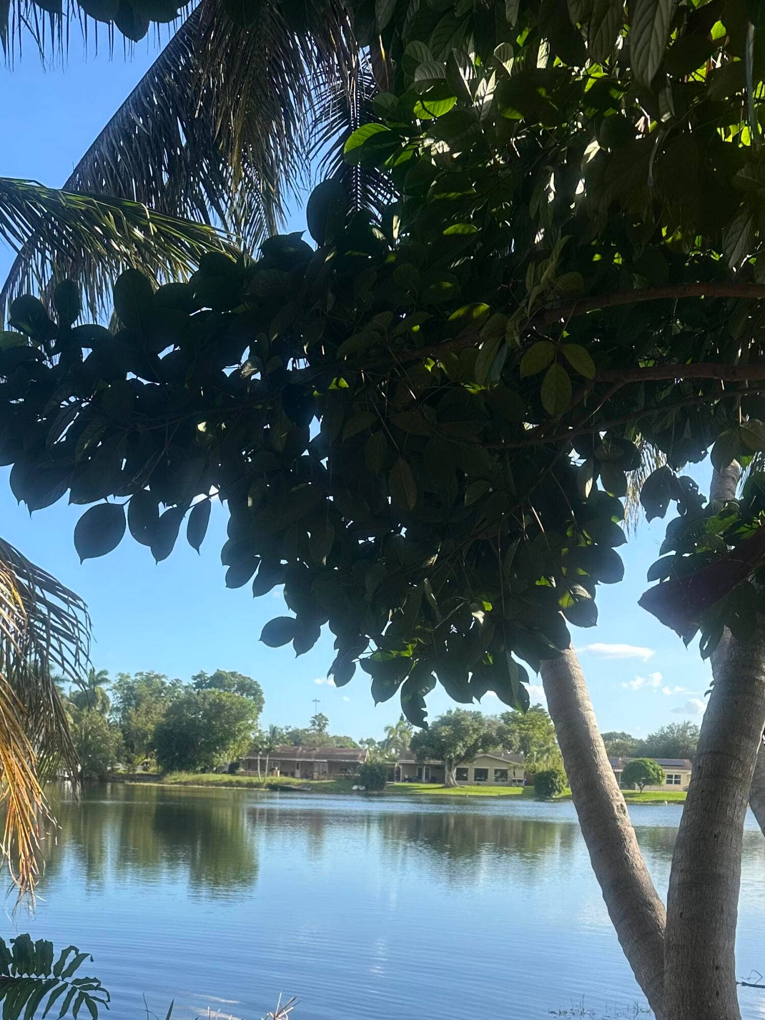 STUNNING LAKEVIEW