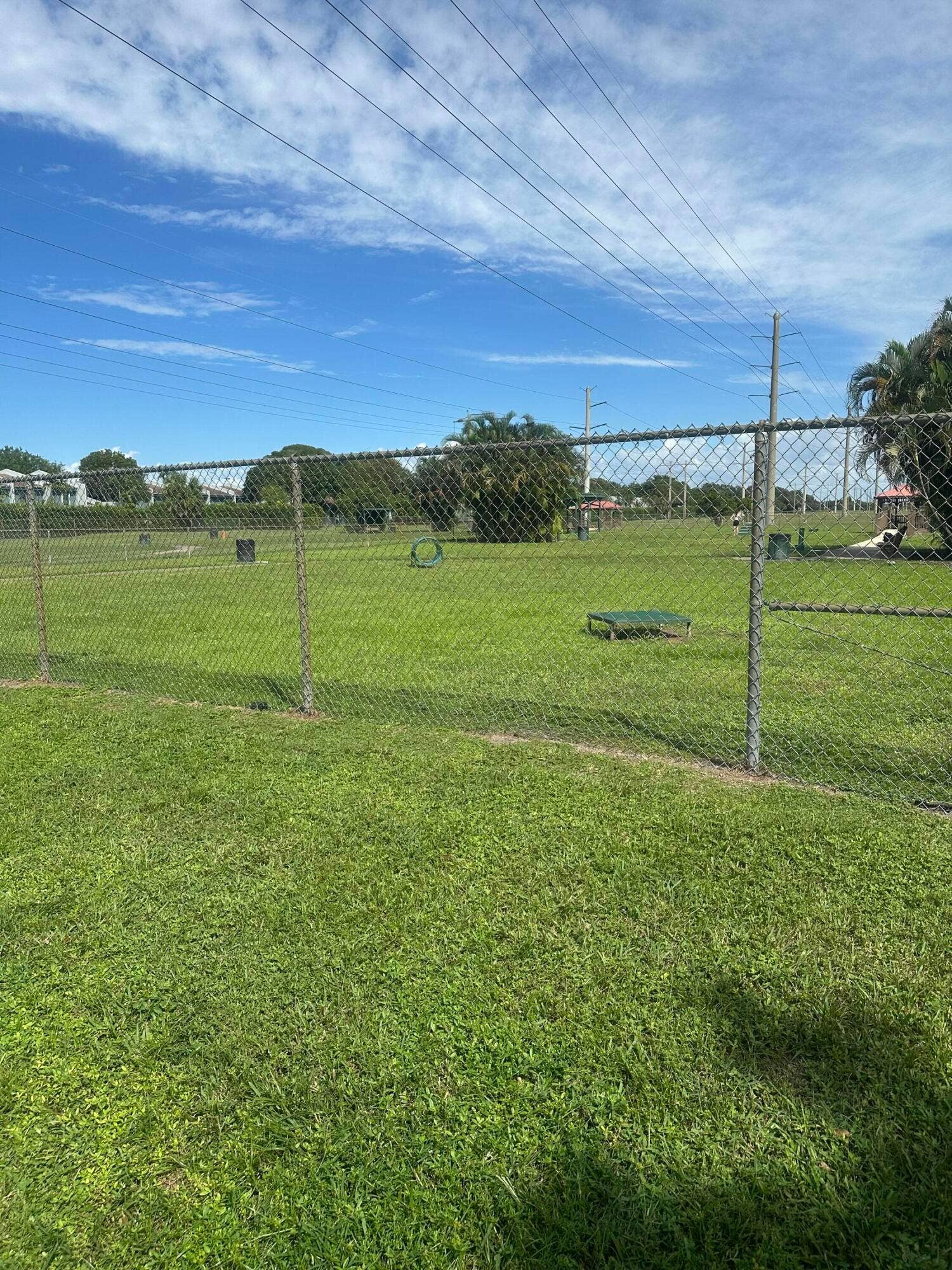 DOG PARK