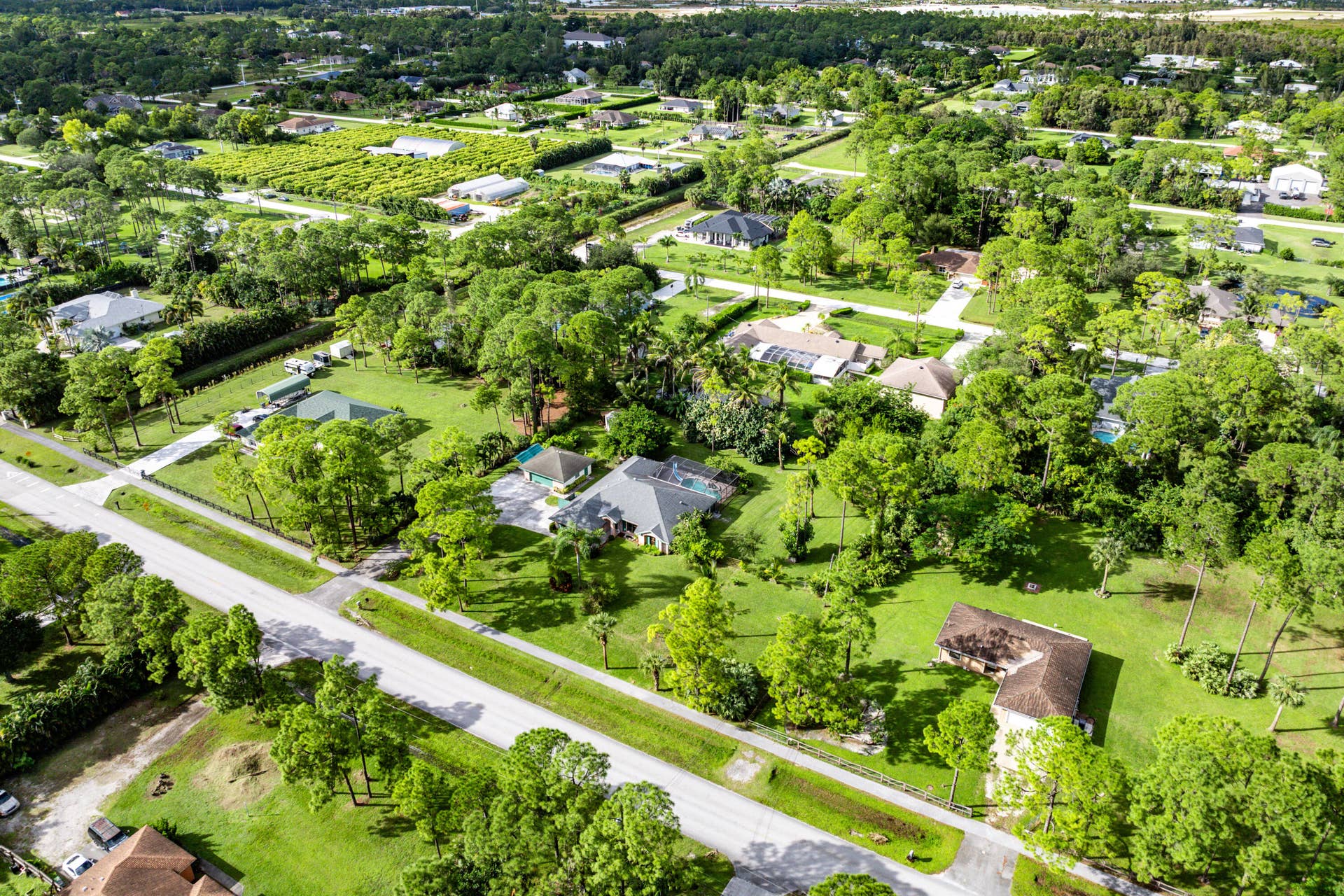 13677 Citrus Grove Boulevard, West Palm Beach, FL 33412 Aerial perspective of a sprawling property featuring mature trees, manicured lawns, a swimming pool, and a multi-car driveway