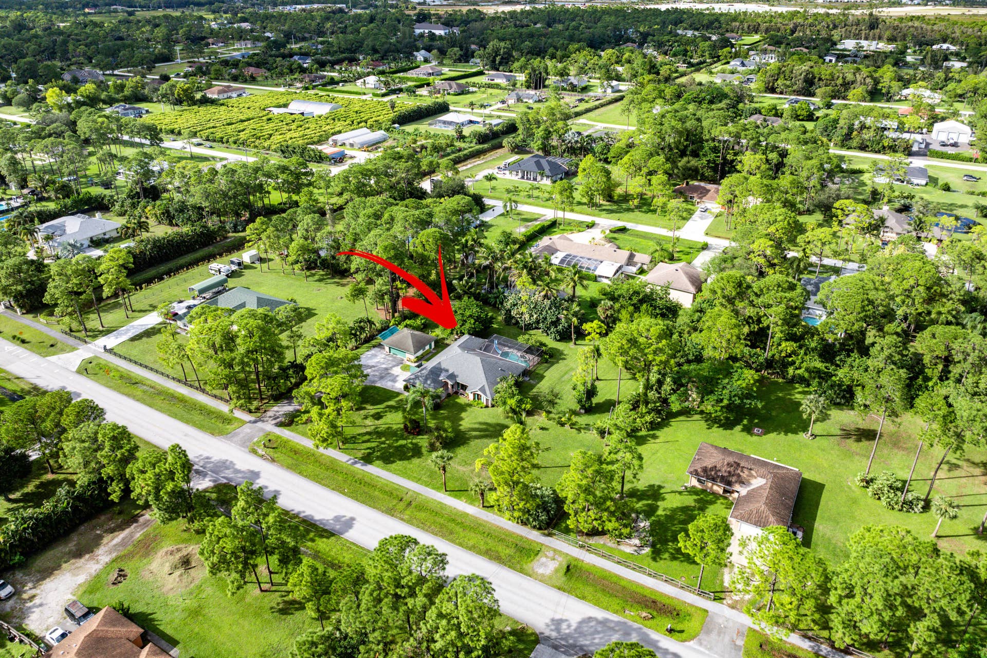 13677 Citrus Grove Boulevard, West Palm Beach, FL 33412 Aerial perspective of a detached residence featuring a screened-in pool enclosure, concrete driveway, and expansive grass lot with mature trees