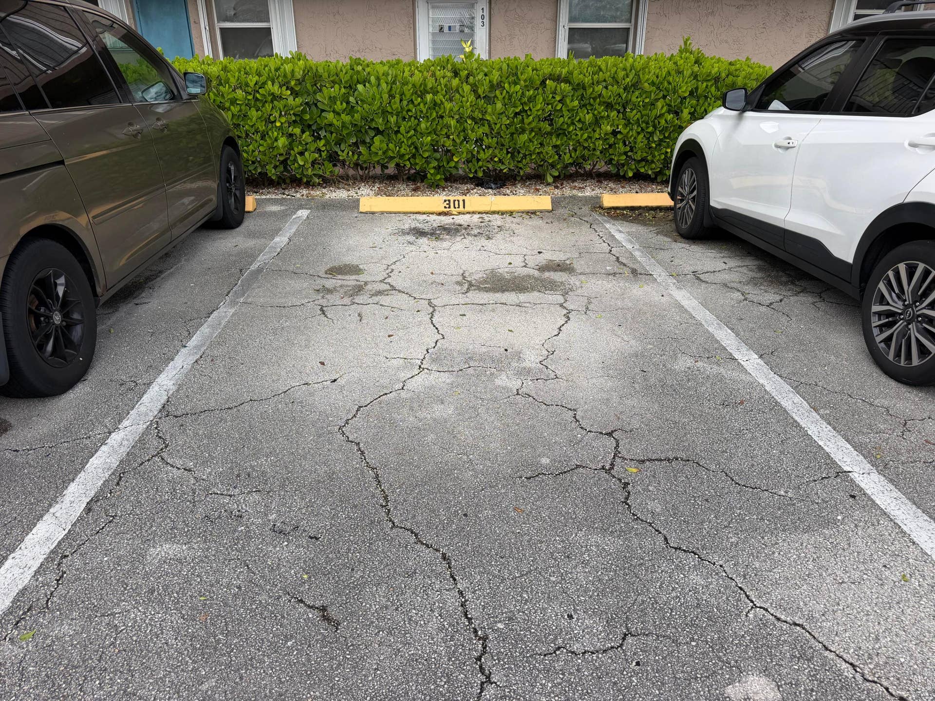 301 assigned parking spot