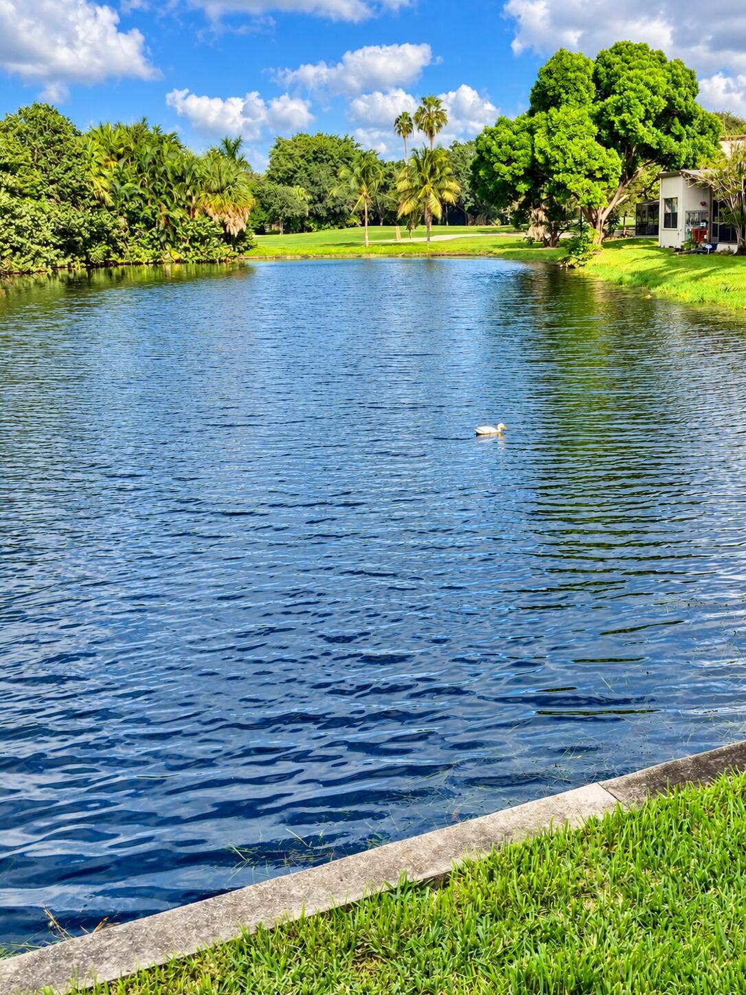 Waterview from Porch