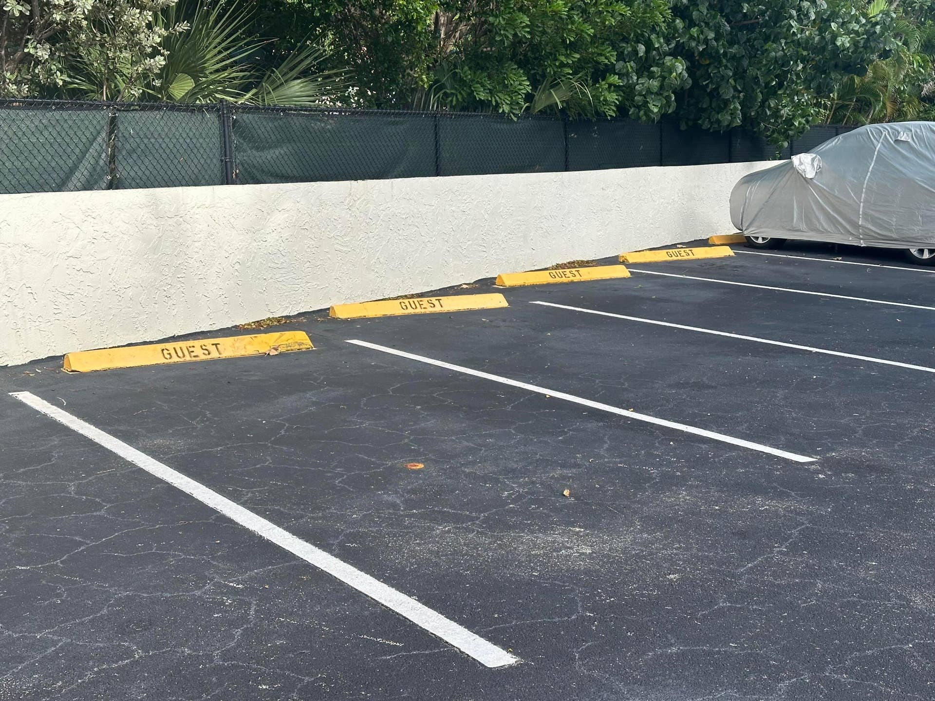 4143 N OCEAN Boulevard, #209, Fort Lauderdale, FL 33308 Guest Parking at rear of property.