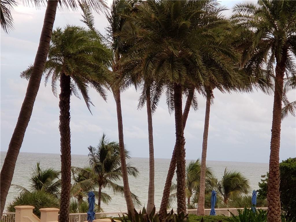 Tropical Ocean View