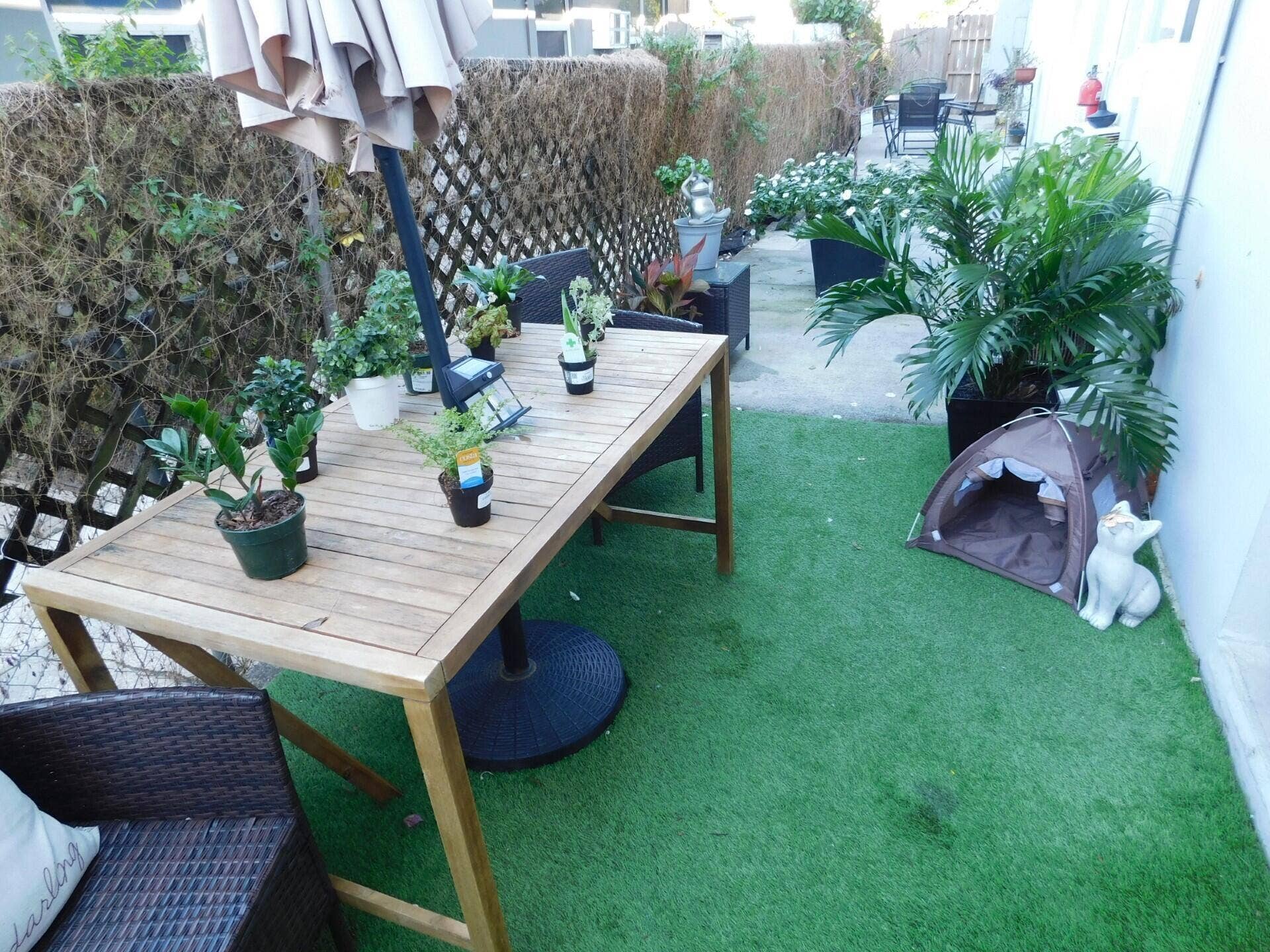 Back patio