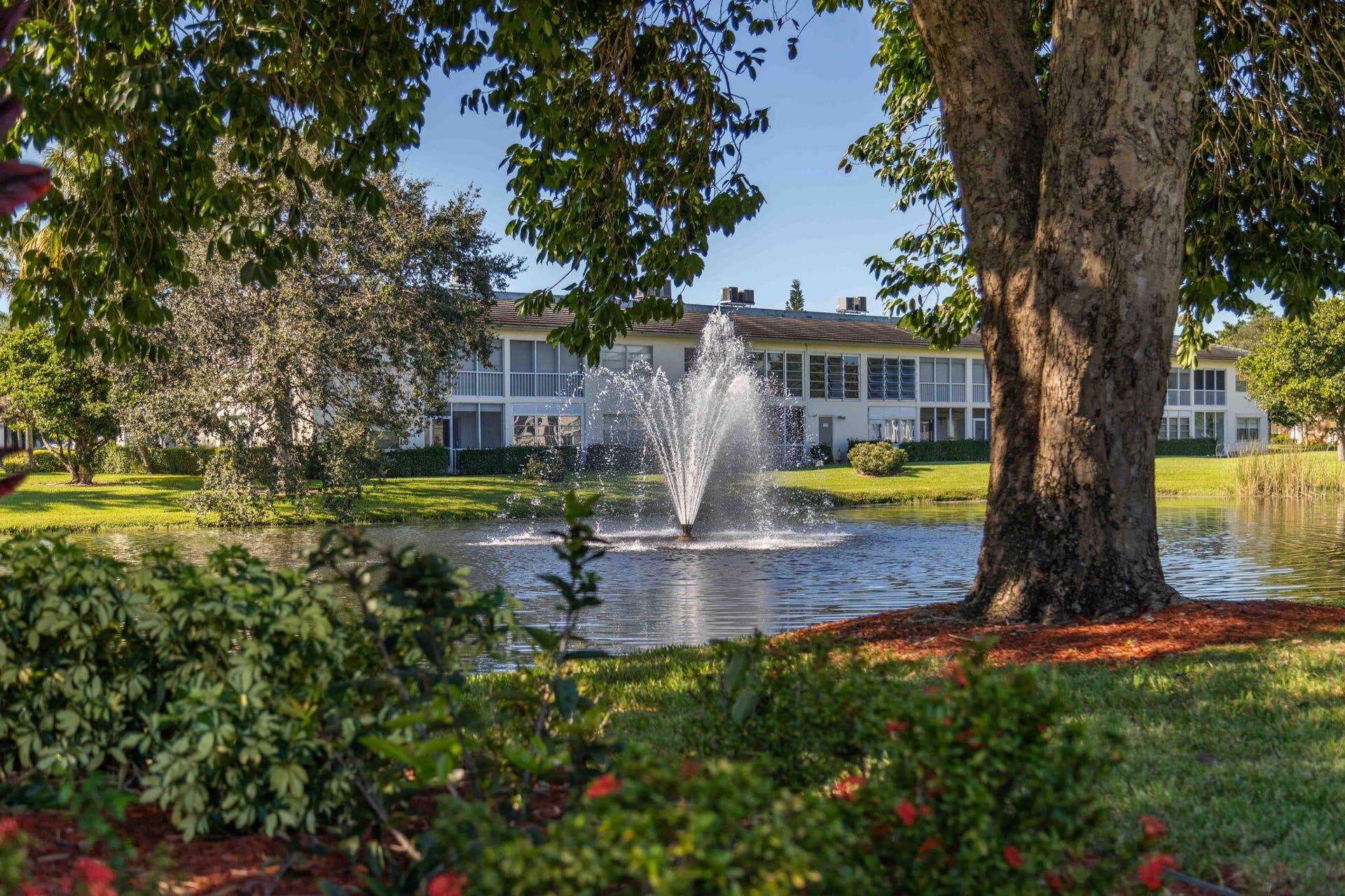 fountain