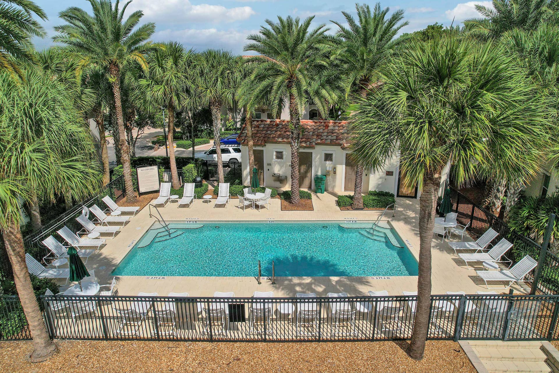 4326 Cascada Circle, Hollywood, FL 33024 Rectangular outdoor swimming pool featuring a concrete deck, built-in metal perimeter fencing, and surrounding mature palm landscaping