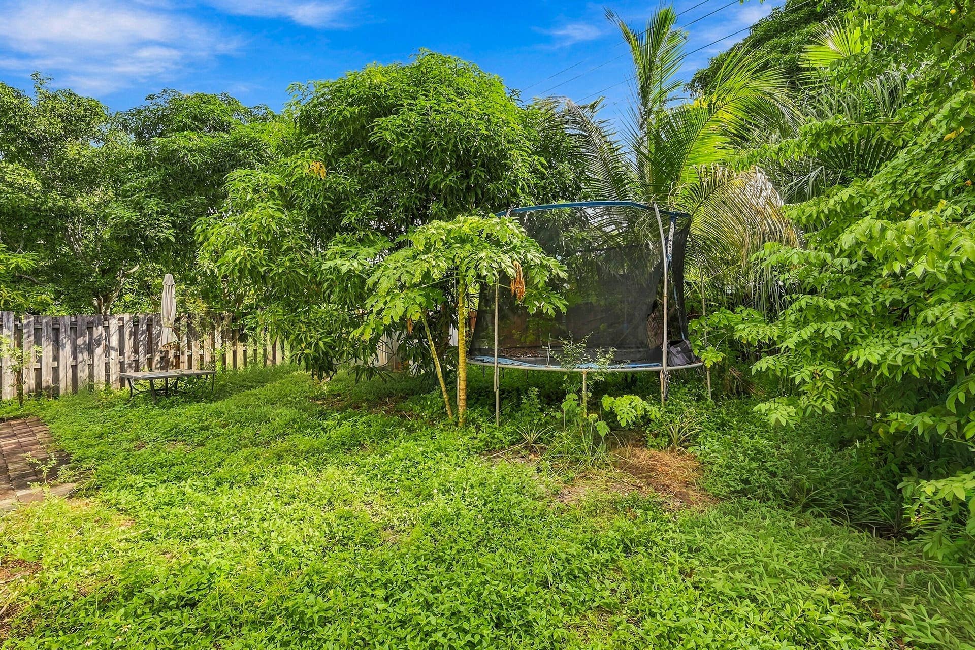 4972 NE 14TH Avenue, Pompano Beach, FL 33064 Yard