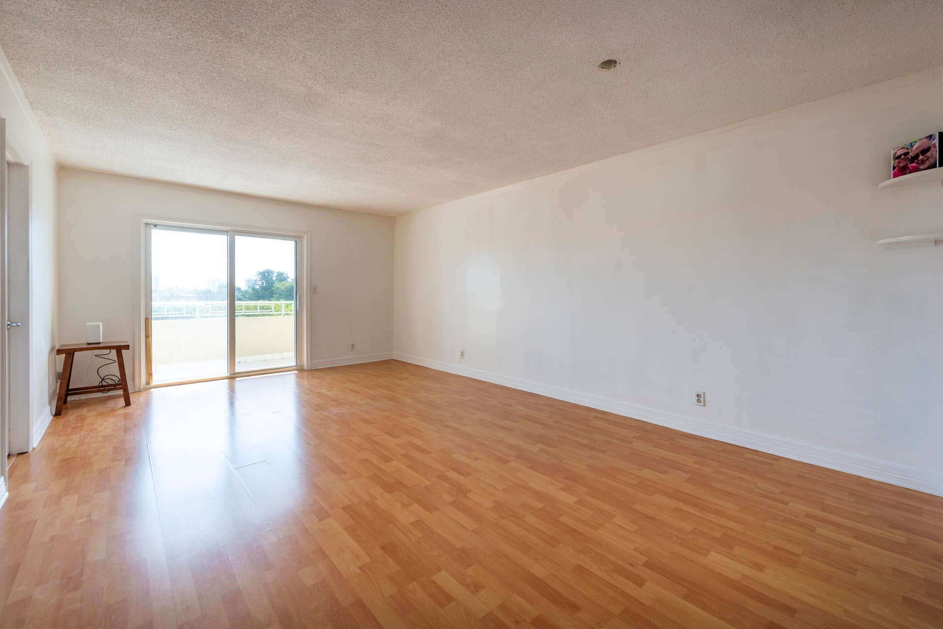 Living/dining room