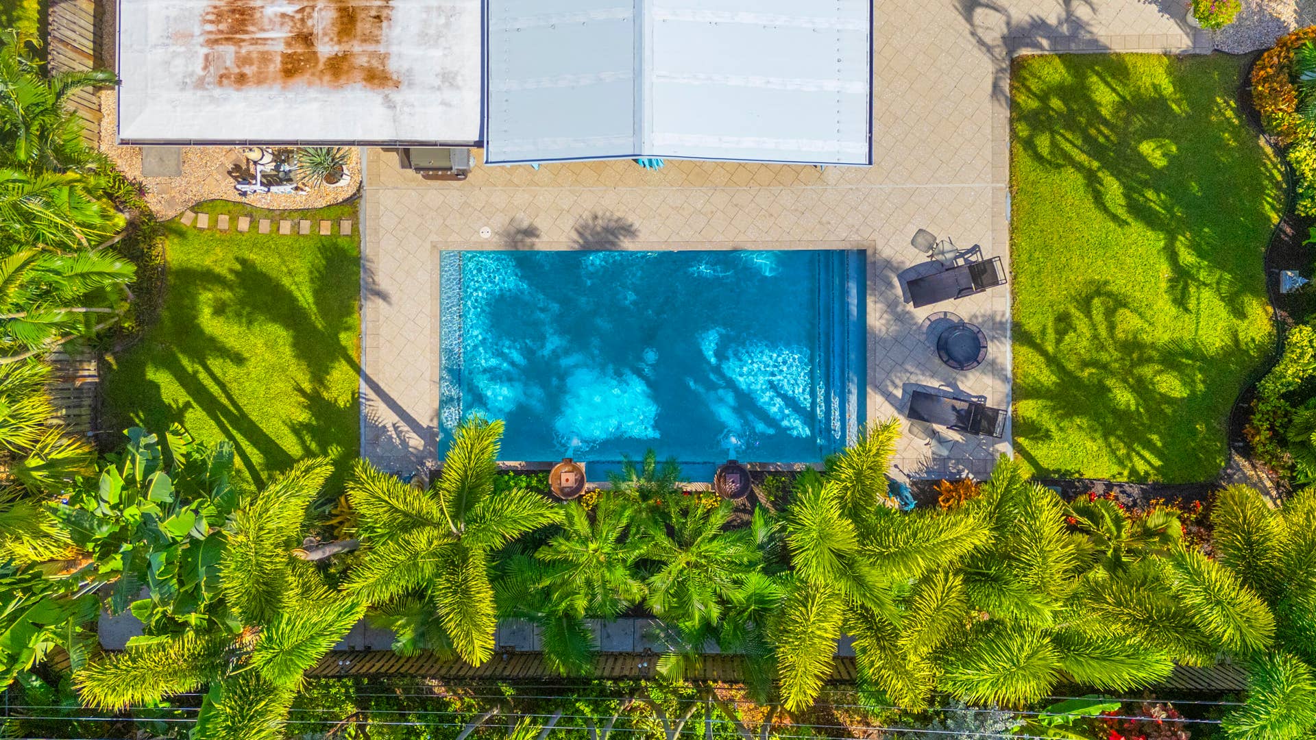 2317 NW 6th Avenue, Wilton Manors, FL 33311 Backyard featuring a rectangular swimming pool, concrete paver decking, manicured lawn areas, and mature perimeter landscaping
