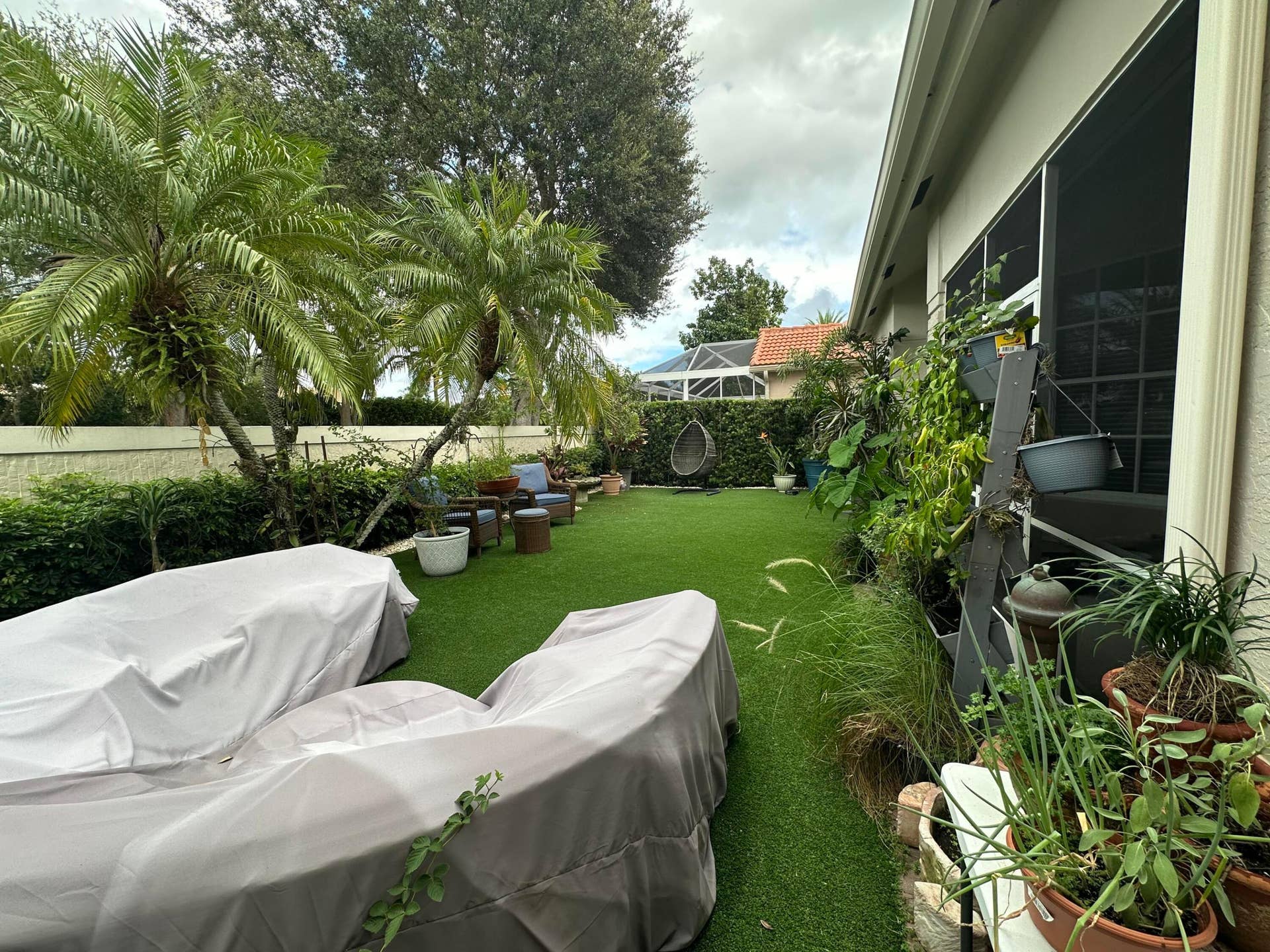 43 Pinnacle-Backyard 1